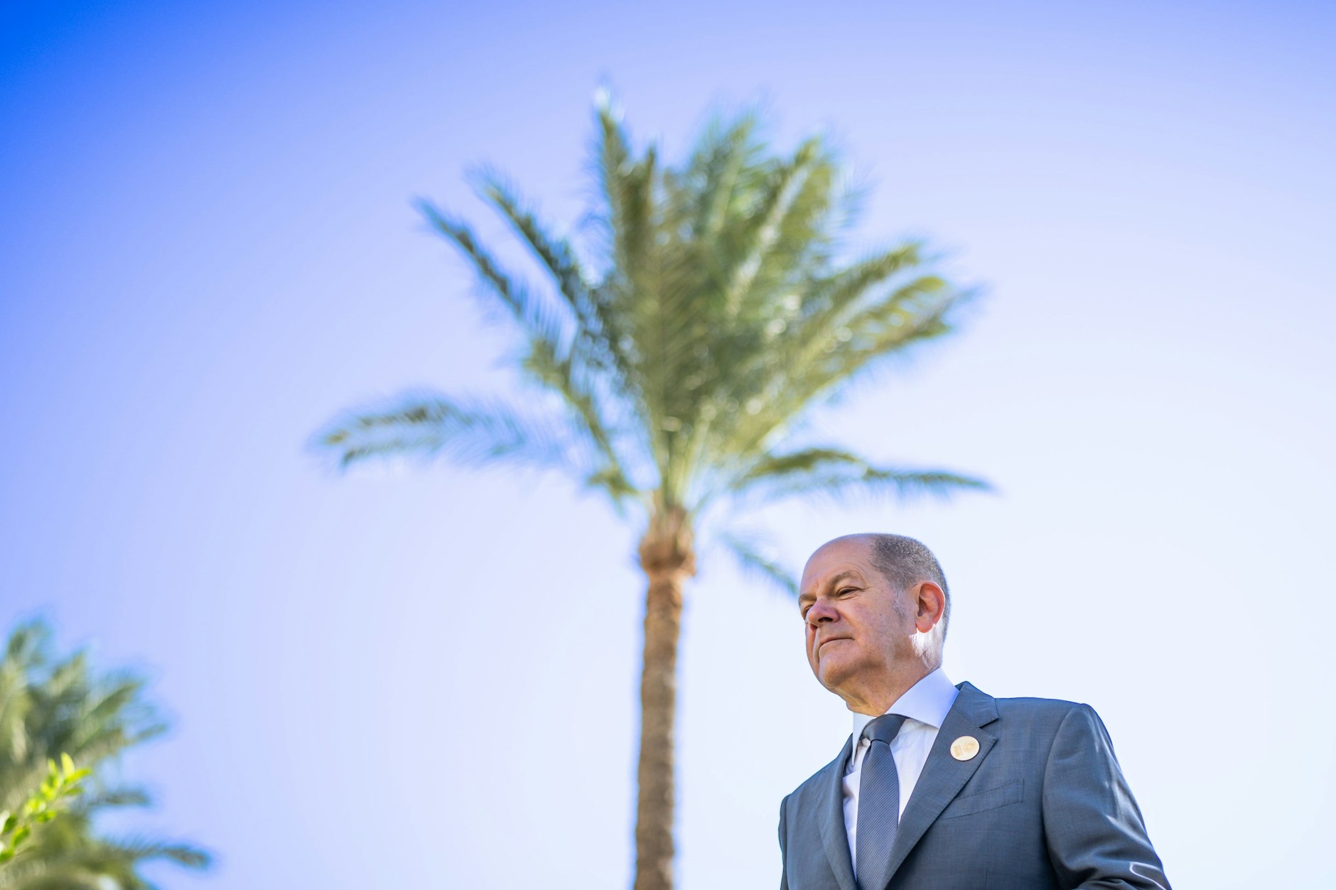 Kanzler Olaf Scholz (SPD) unter Palmen: Er nimmt an der Welt-Klimakonferenz in Scharm El-Scheich teil