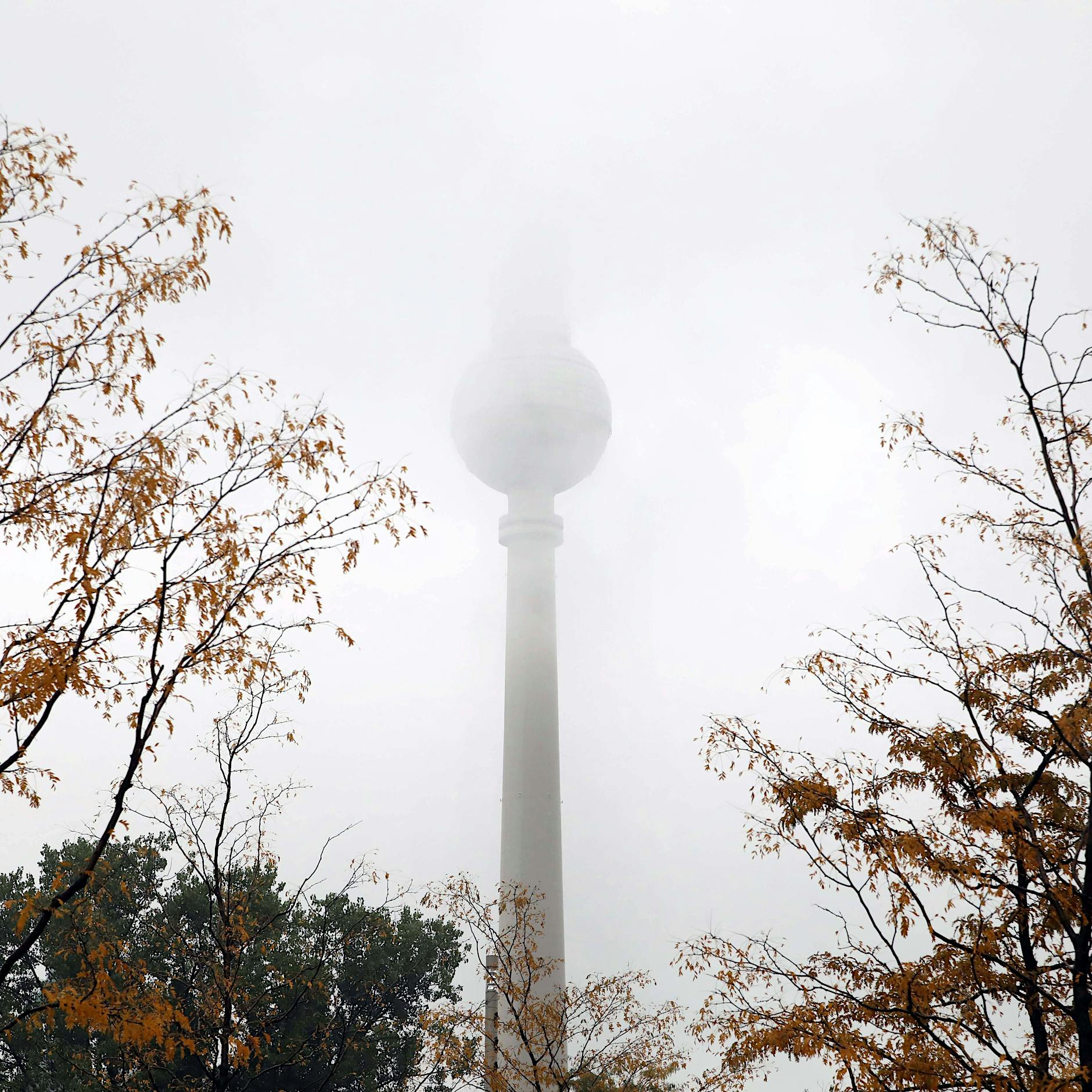 Lächelnd durch den Berliner Herbst