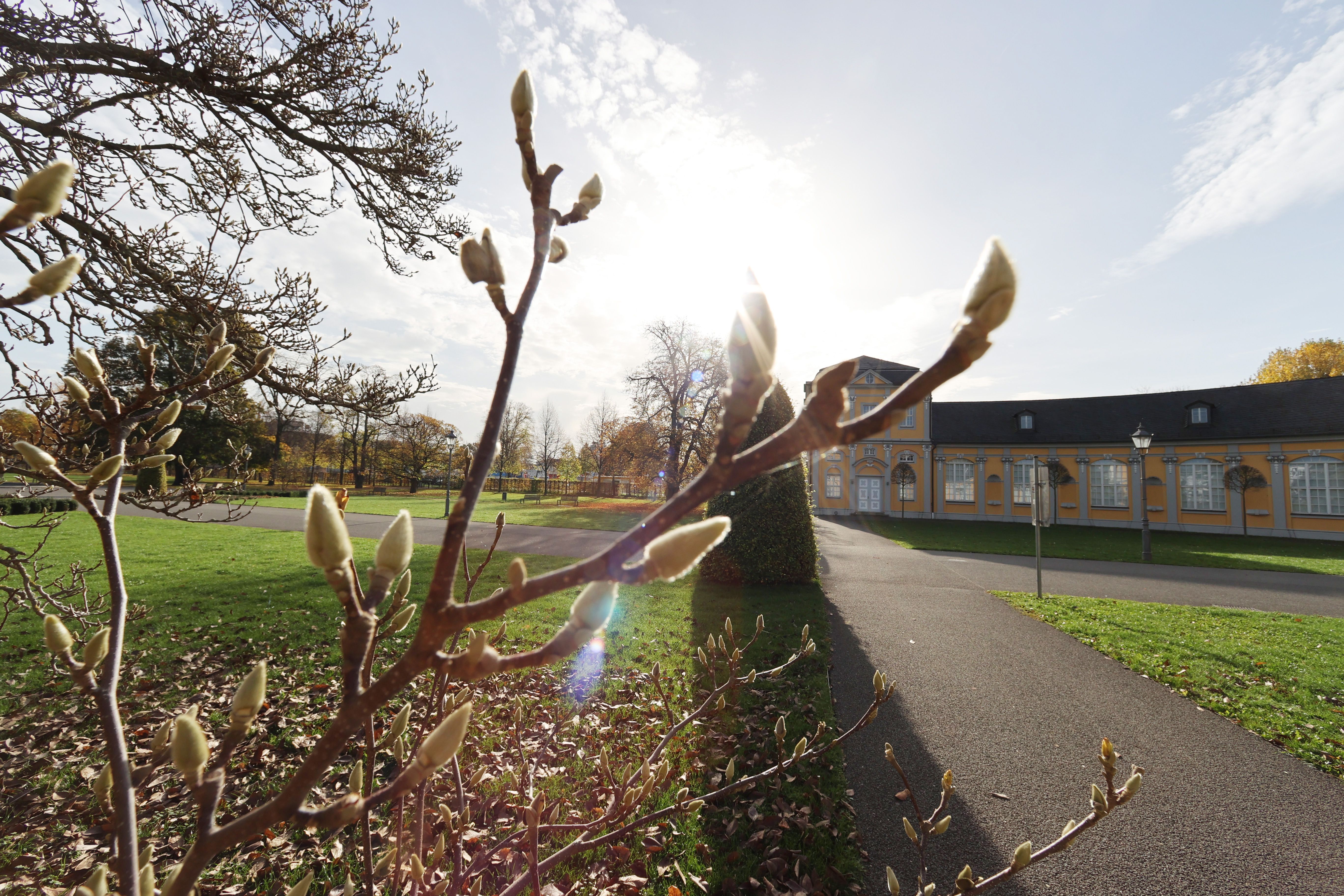 Image - Ach du Schreck! Wetter-Experte warnt vor Beton-Hoch bis zum Abwinken und über 20 Grad im November