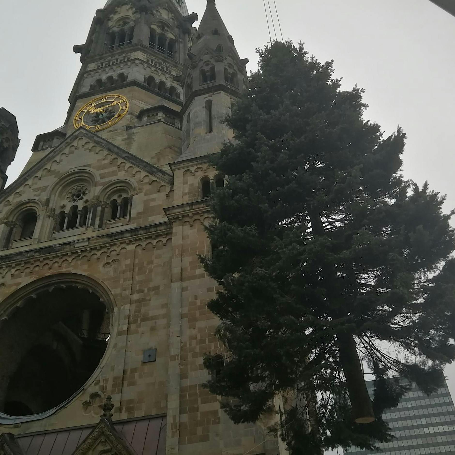 Zu breit und zu kahl untenrum: Die Tannenpanne vom Breitscheidplatz