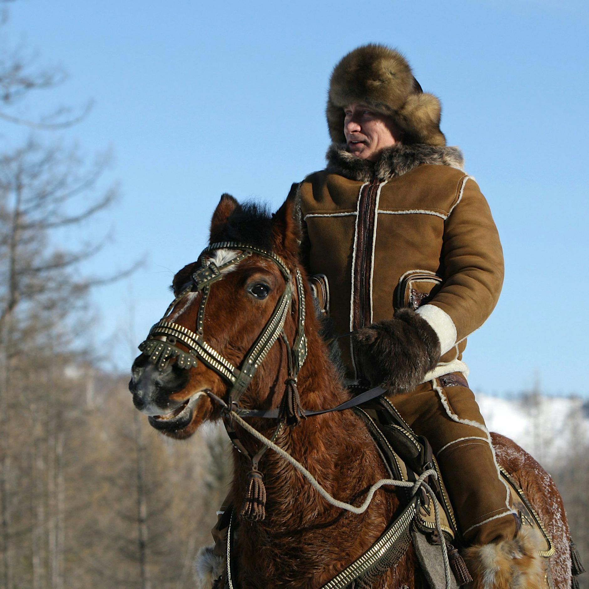 Selenskyjs Gesprächsbedingung: Wie fest sitzt Kremlherr Putin im Sattel?