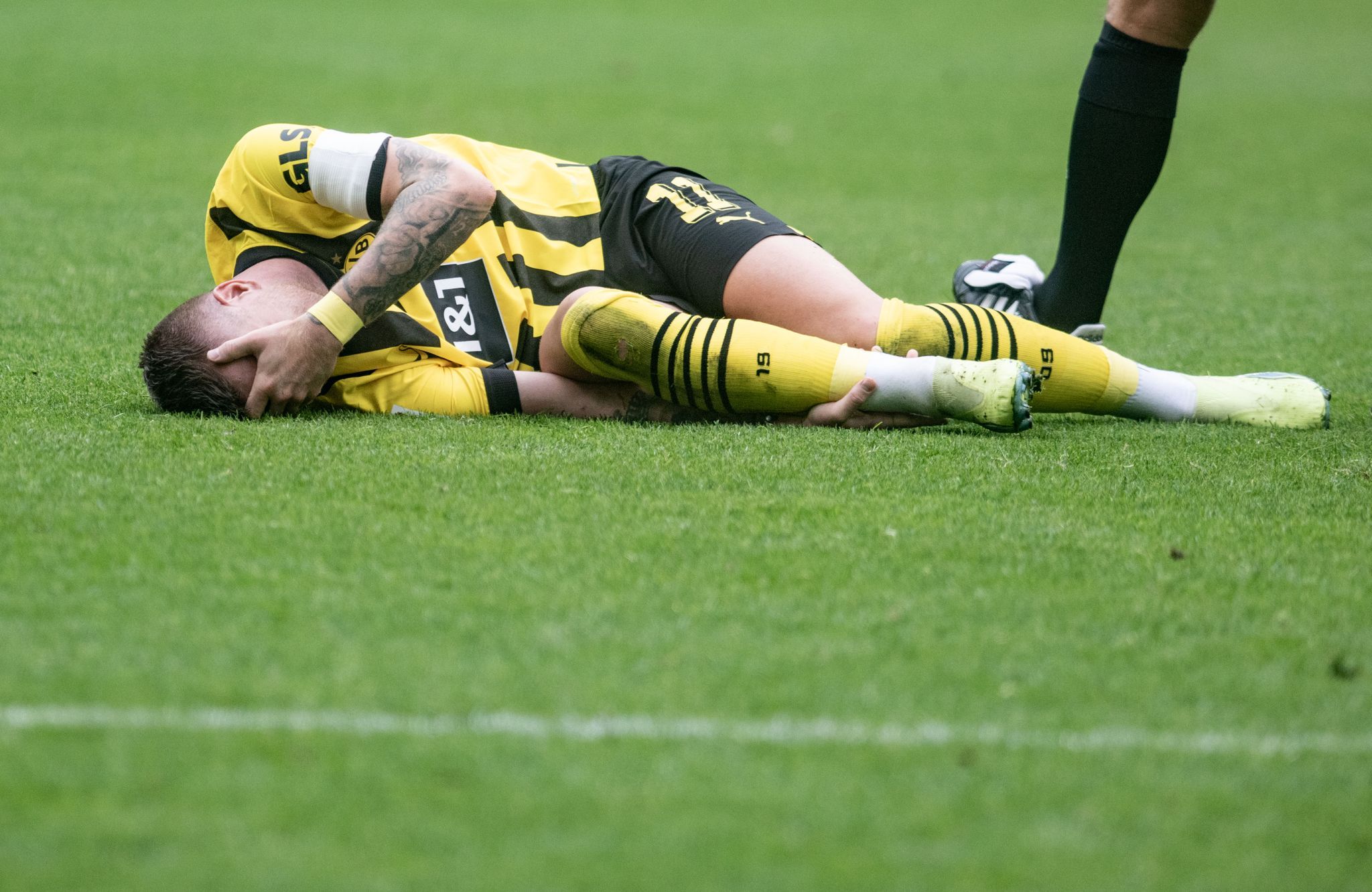 Image - UPDATE +++ WM-Aus: Marco Reus ist der größte deutsche Pechvogel – so emotional reagiert der BVB-Star!