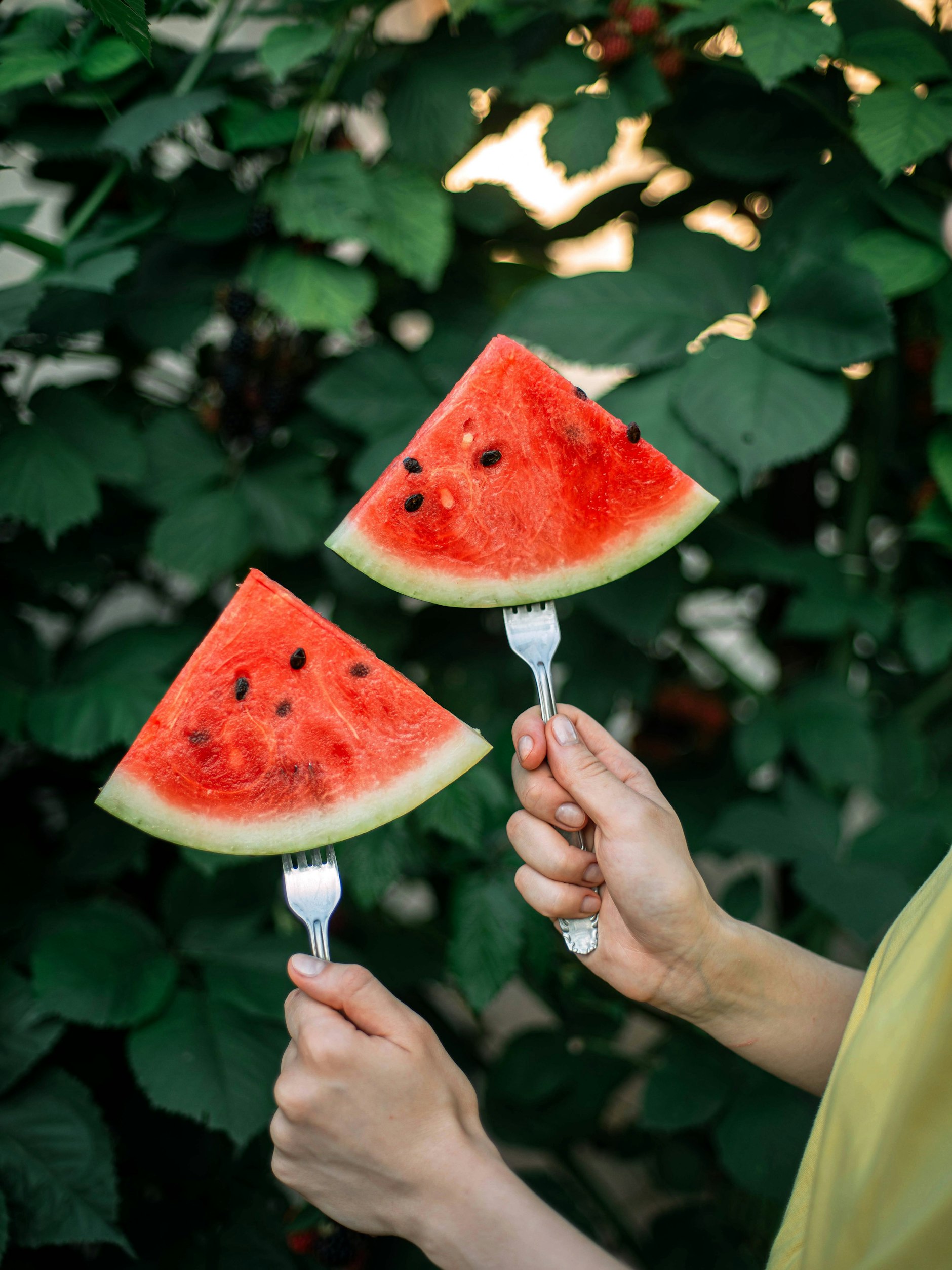 Das Leben in der Stadt kann einsam sein.
