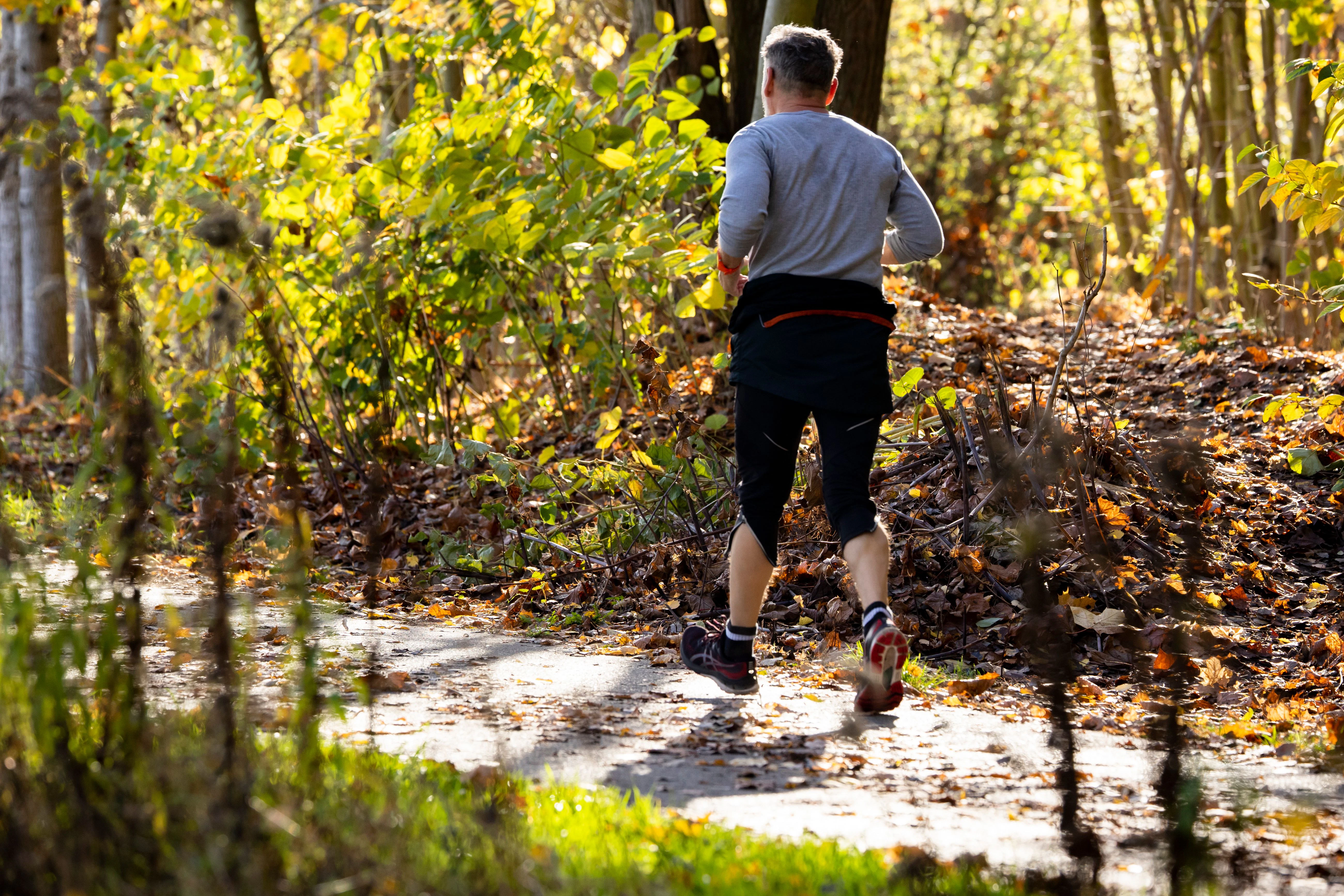 Ein Jogger auf dem ehemaligen Grenzstreifen zwischen Lichtenrade und Brandenburg