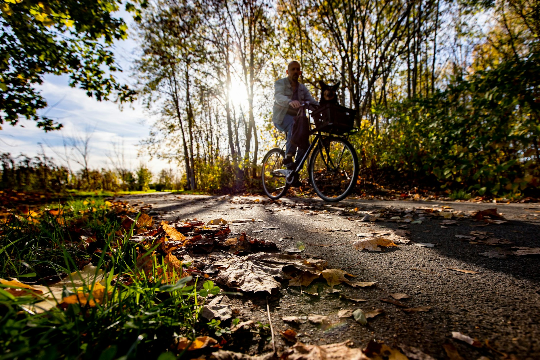 Der Mauerweg in Lichtenrade ist ein guter Ort, um in Bewegung zu kommen.  

