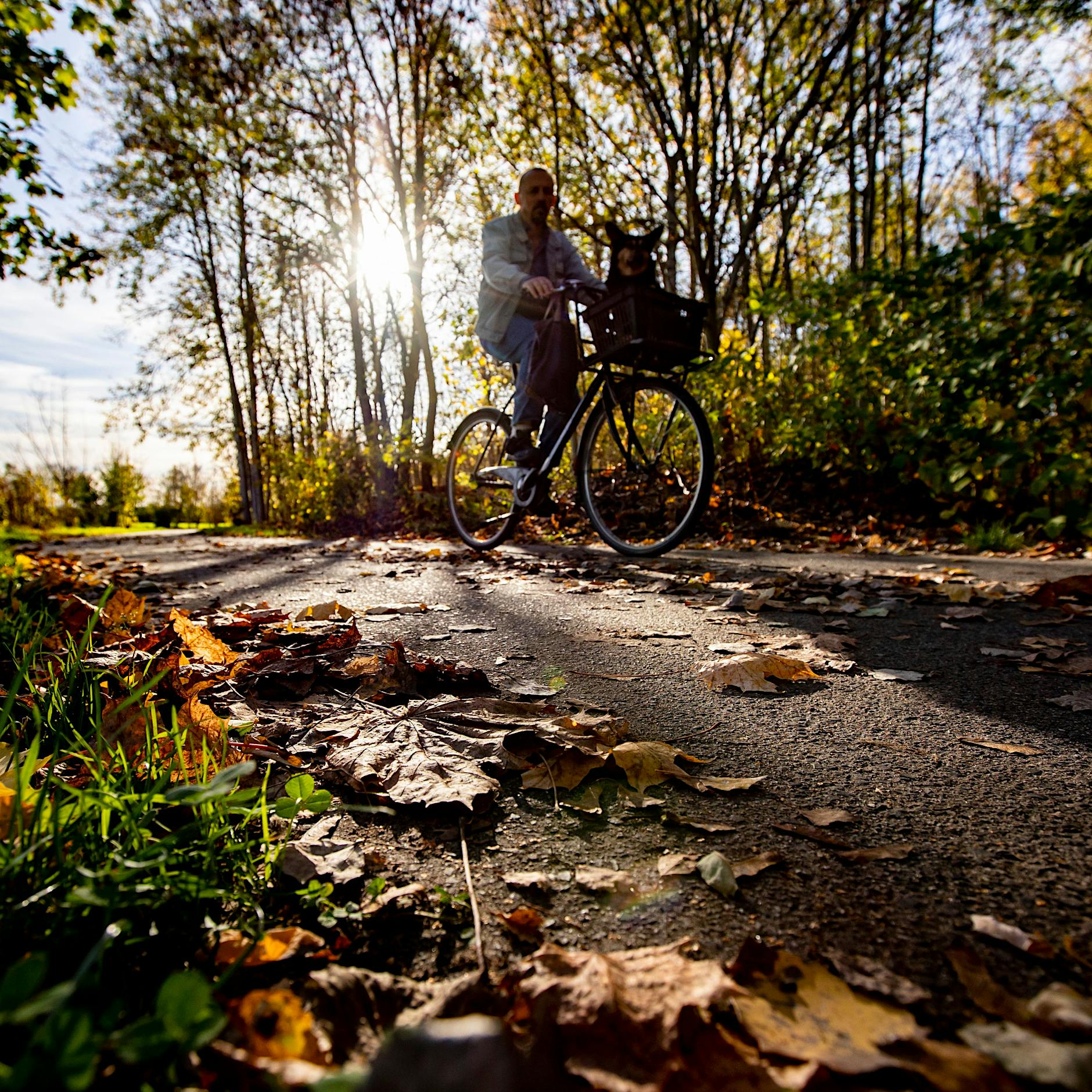 „Es geht um Bewegung, nicht um Leistung“: Wie Sport bei Krebs helfen kann