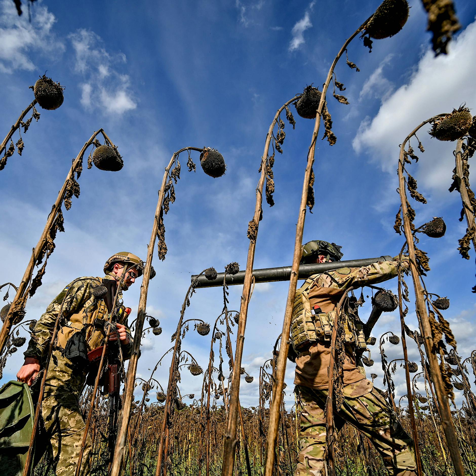 Der unfertige Gedanke 19: Endgame