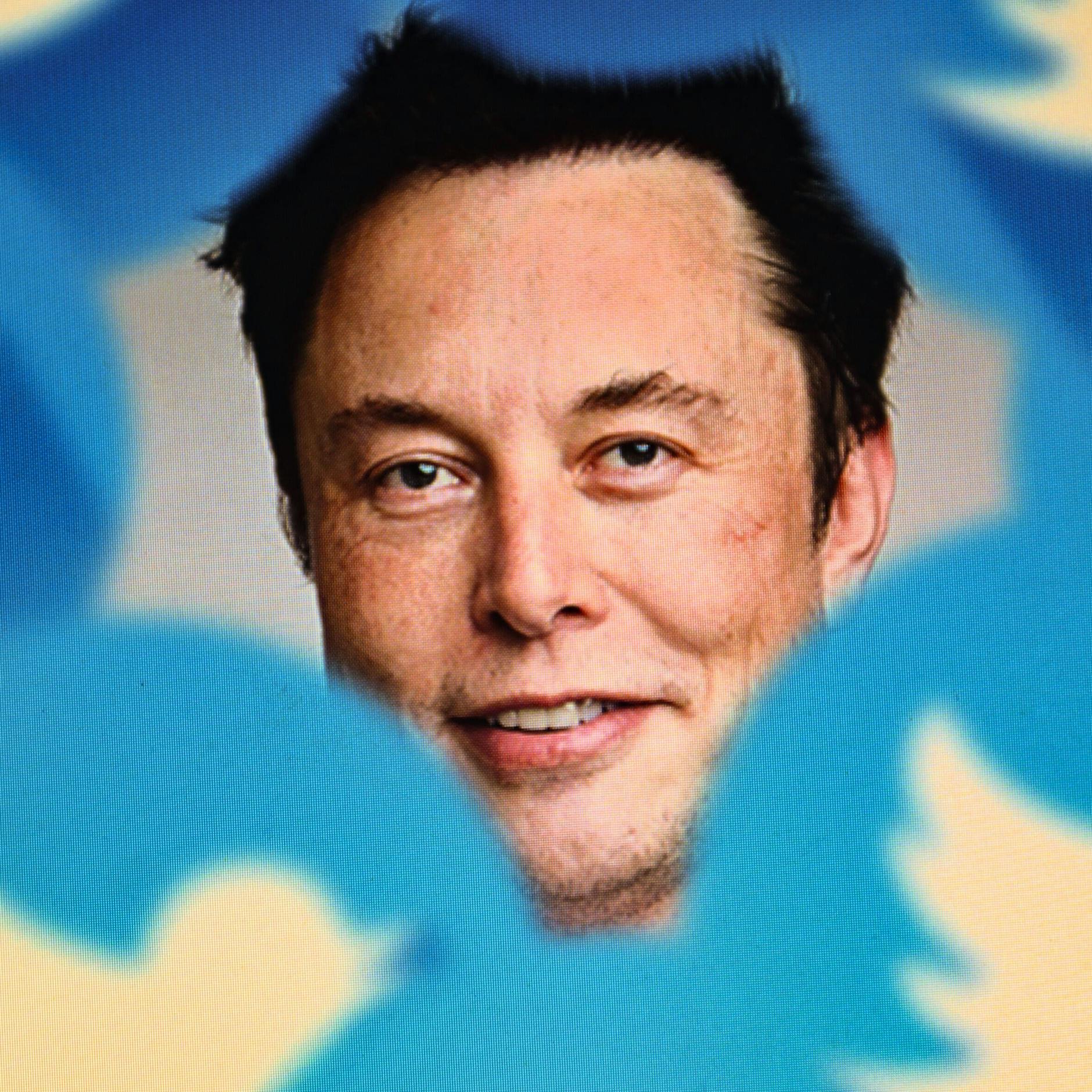 Vier Millionen Dollar Verlust jeden Tag: Reitet Elon Musk Twitter geradewegs in die Pleite?