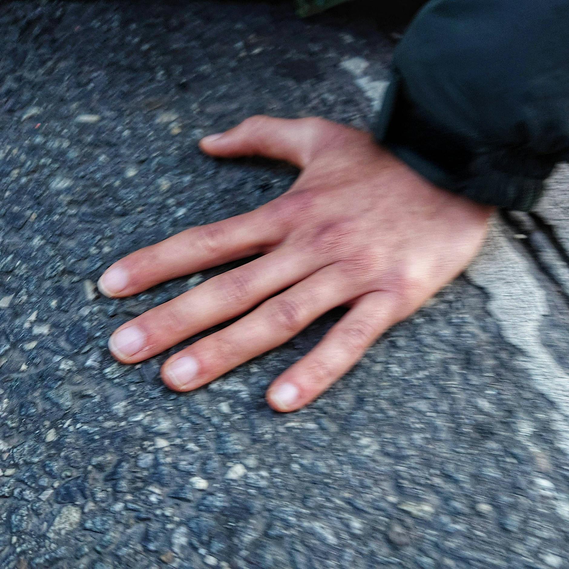 „Letzte Generation“: Aktivistin will lieber Knast statt Geldstrafe