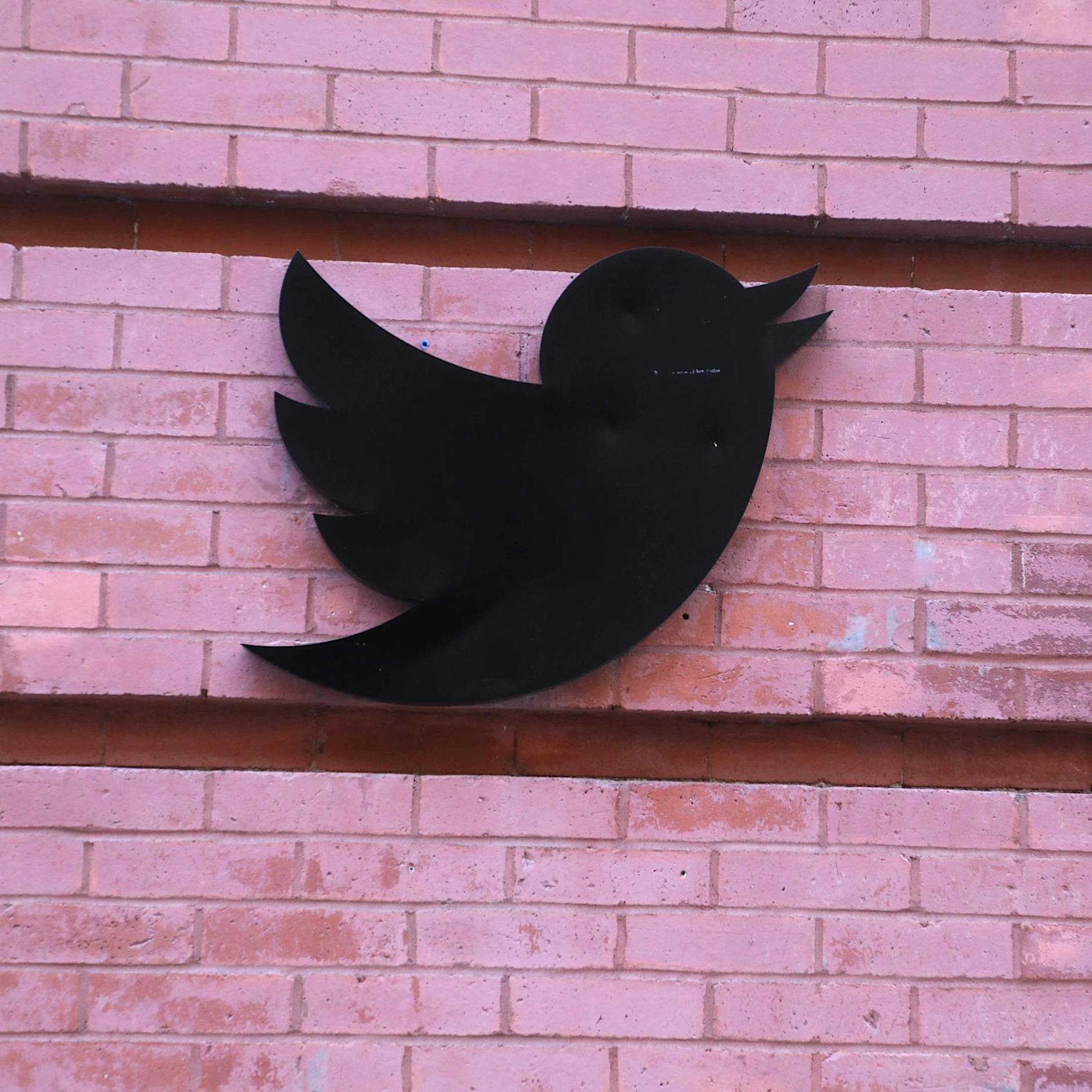 Erste Woche im Besitz von Elon Musk erschüttert Twitter