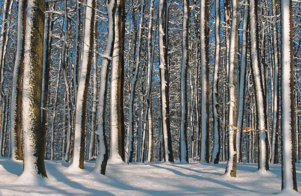 Freitag Fällt Der Erste Schnee Verrückte Wetter Wende Und Plötzlich