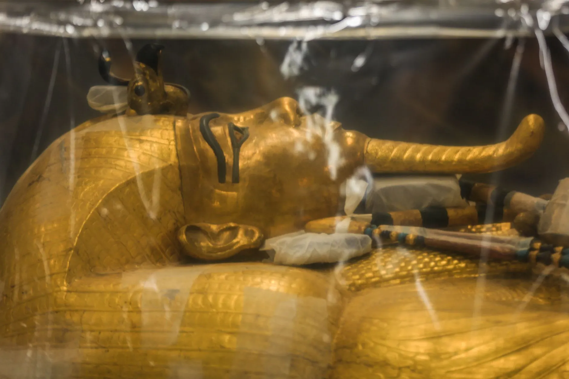 ARCHIV - Der vergoldete Sarkophag des ägyptischen Pharaos Tutanchamun im Großen Ägyptischen Museum.