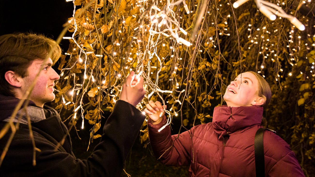 Von den Lichterbäumen werden die Besucher auch in diesem Jahr begeistert sein.