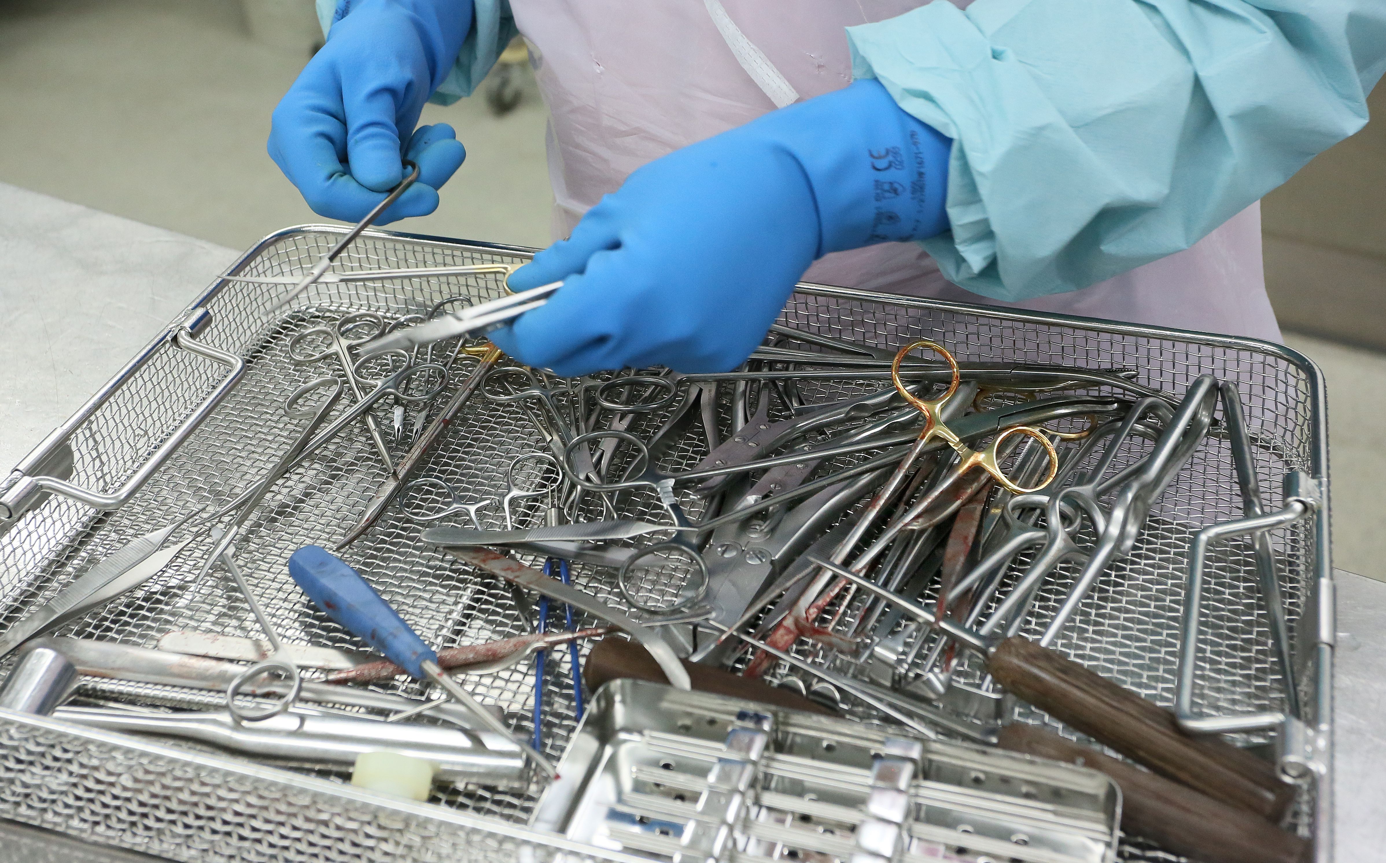 Image - Die nie endende Pandemie – jährlich 50.000 Erkrankte mit antibiotikaresistenten Keimen