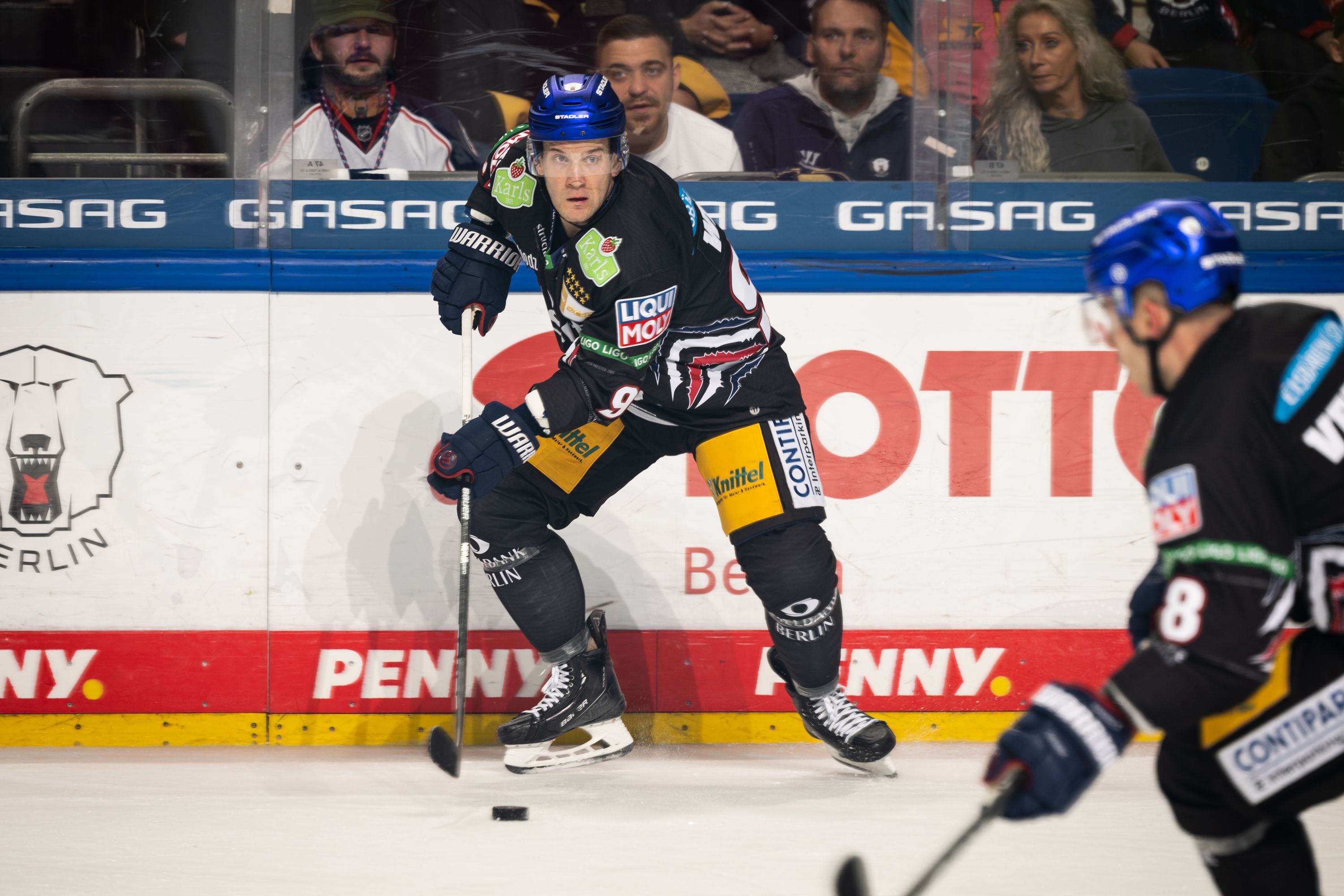 Image - Machtwort von Eisbär Matt White: Platz 13 ist wirklich nicht unser Niveau