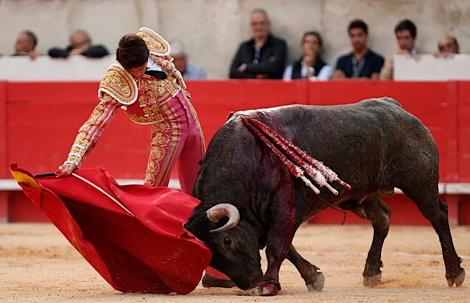 Der französische Stierkämpfer Sebastián Castella in Nîmes. Im Süden Frankreichs haben Stierkämpfe eine lange Tradition und weiterhin viele Anhänger.