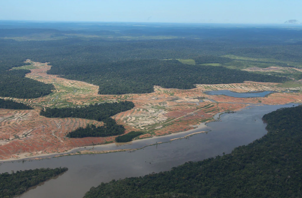 Abholzung des Amazonaswaldes auf einem Extremwert
