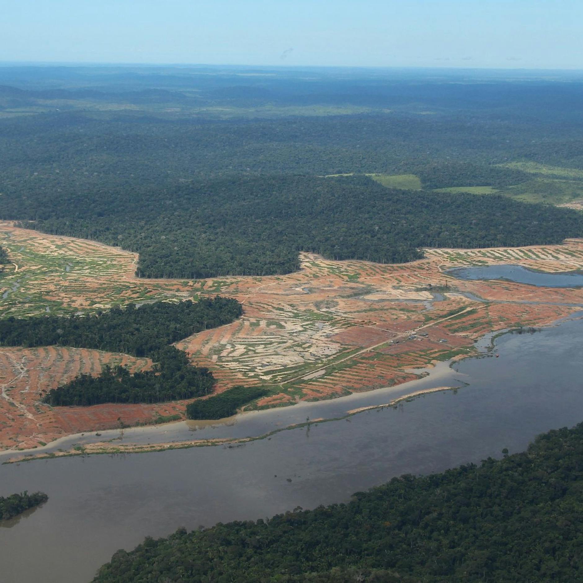Abholzung des Amazonaswaldes auf einem Extremwert