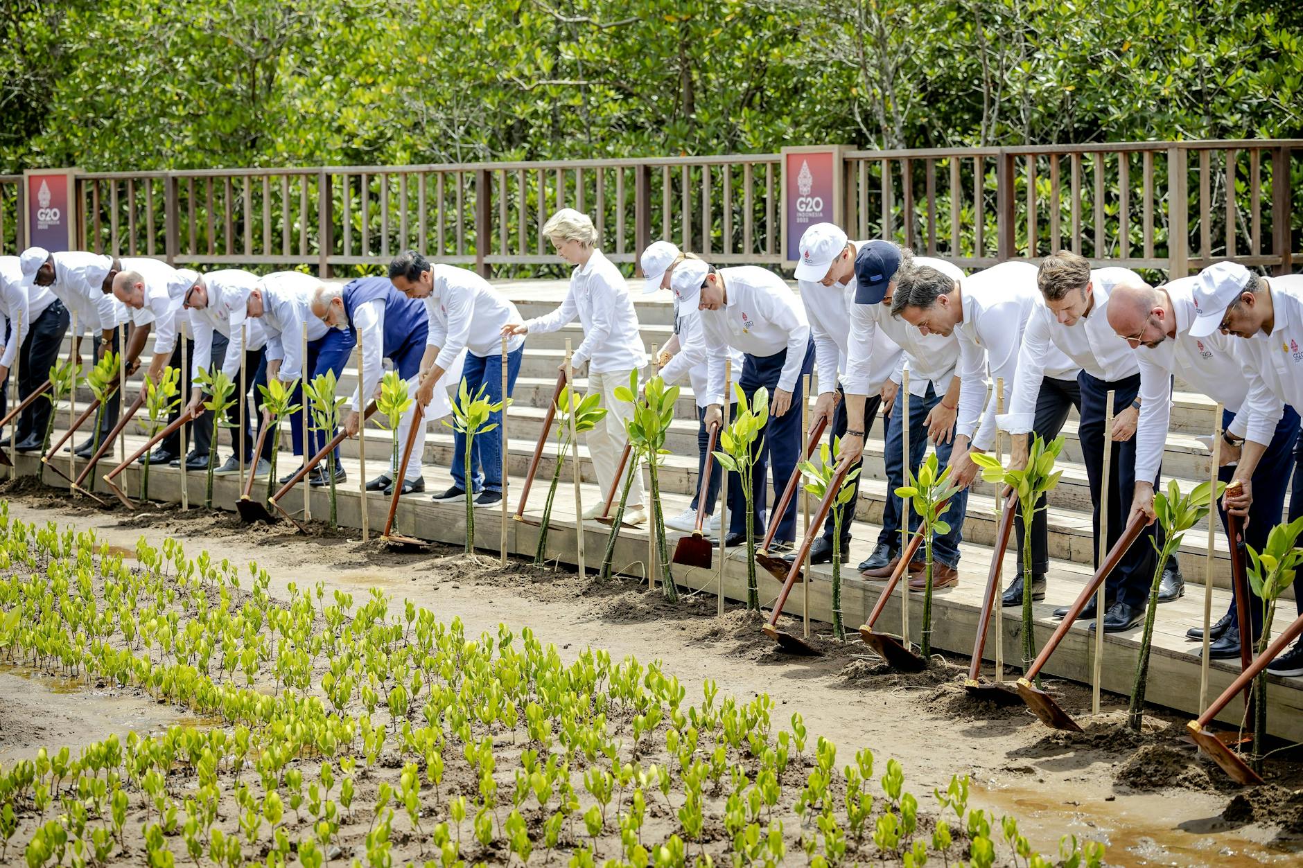 Zur Gesundheit gehört auch eine gesunde Natur. Die Staats- und Regierungschefs der G20 pflanzen Bäume auf einer Mangroven-Farm.