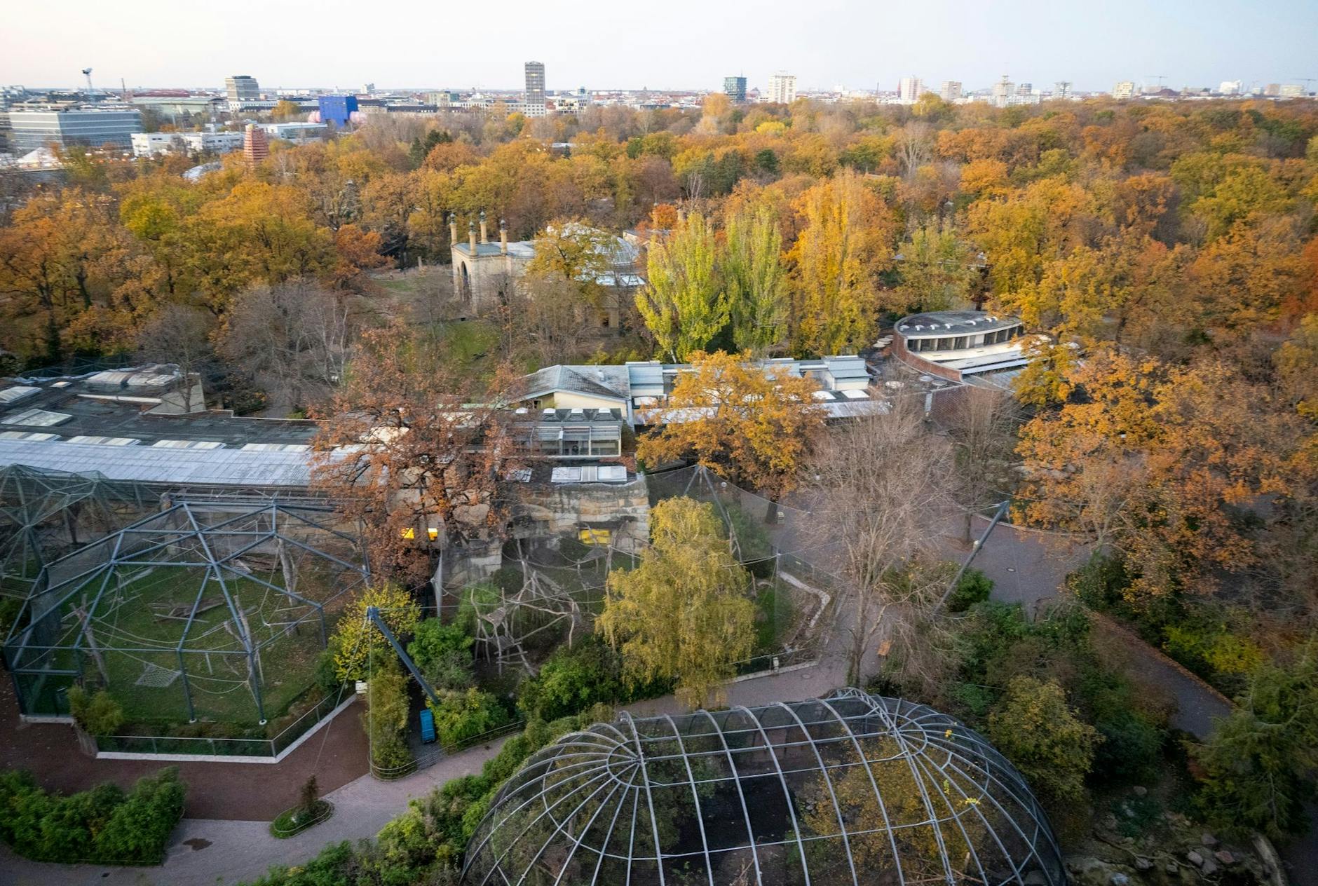 Keine Besucher sind am Nachmittag im Berliner Zoo unterwegs.