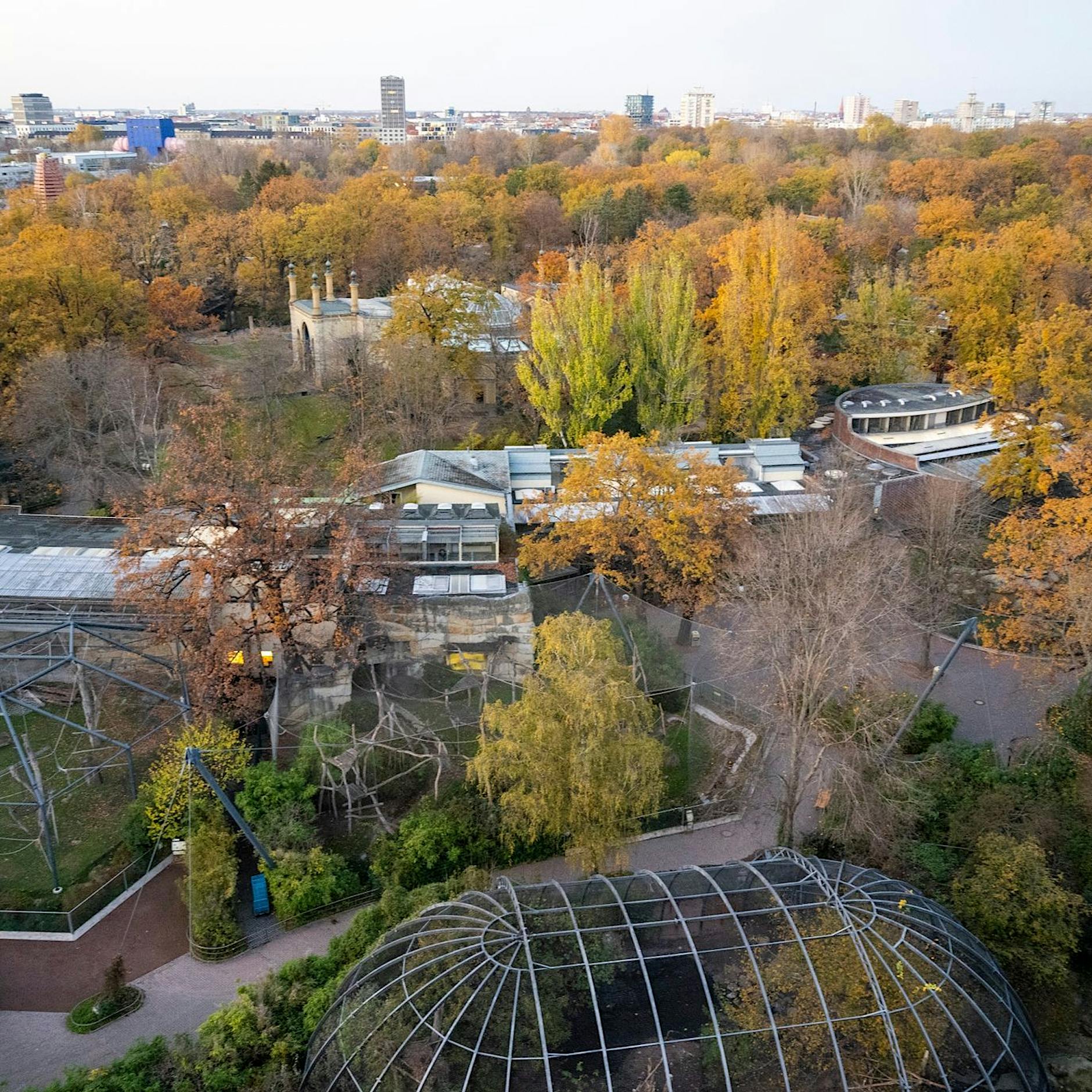 Berliner Zoo wegen Vogelgrippe weiter geschlossen