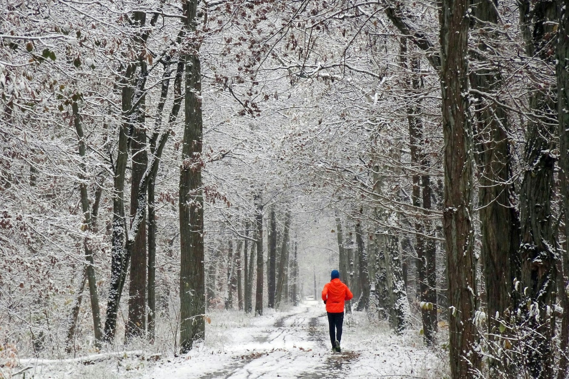Ein Jogger läuft durch den verschneiten Berliner Forst. Eine vier Zentimeter dicke Schneedecke bescherte der Hauptstadt die erste weiße Pracht in diesem Winter. Laut Wetter-Experten war es das aber erst mal mit dem Winter.