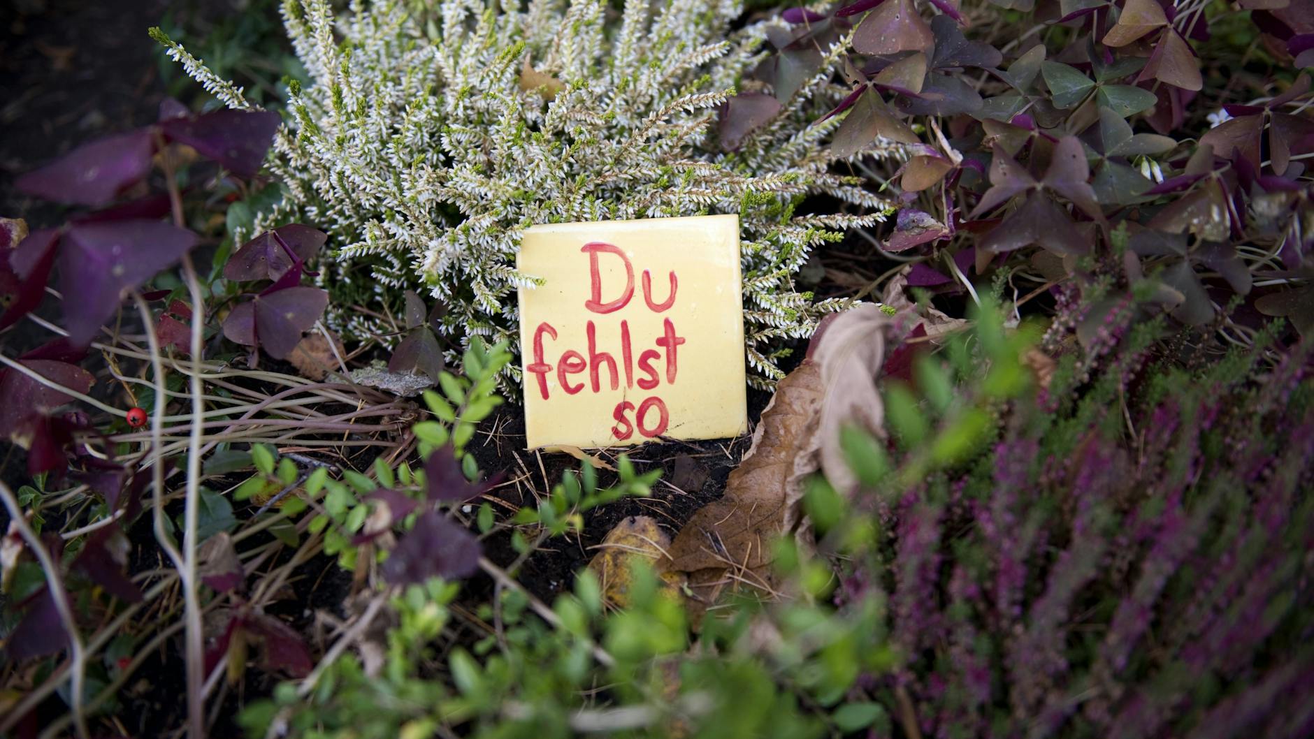 Trauer ist schlimm, aber wichtig.