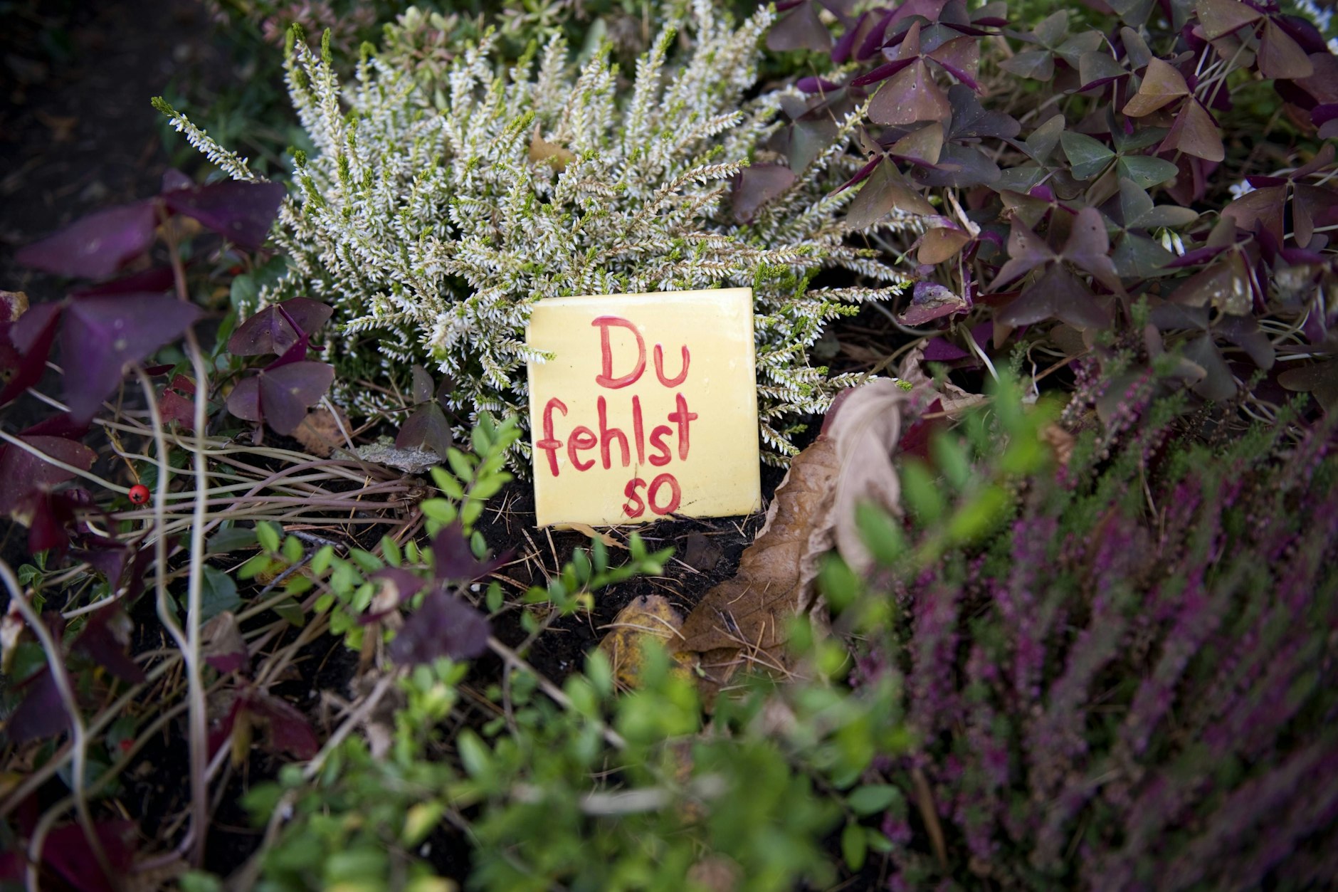 Wenn jemand stirbt, hinterlässt er in den meisten Fällen eine Lücke. Menschen, die einsam sterben, wird in diesen Tagen bei Feiern gedacht.