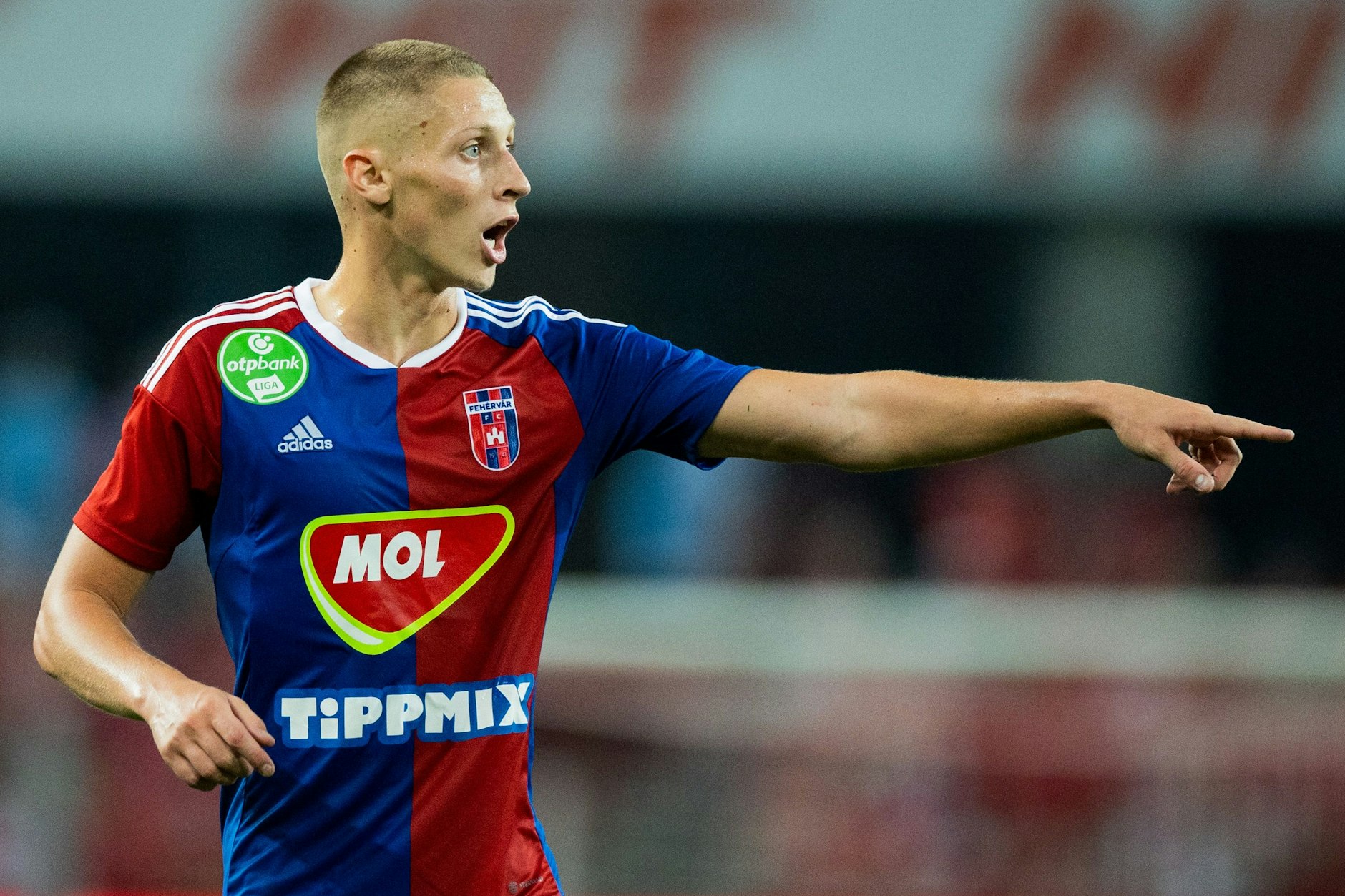 Sohn von Hertha-Legende Pal Dardai: Palko ist Neu-Nationalspieler! Sohn von Hertha-Legende Pal Dardai: Palko ist Neu-Nationalspieler!