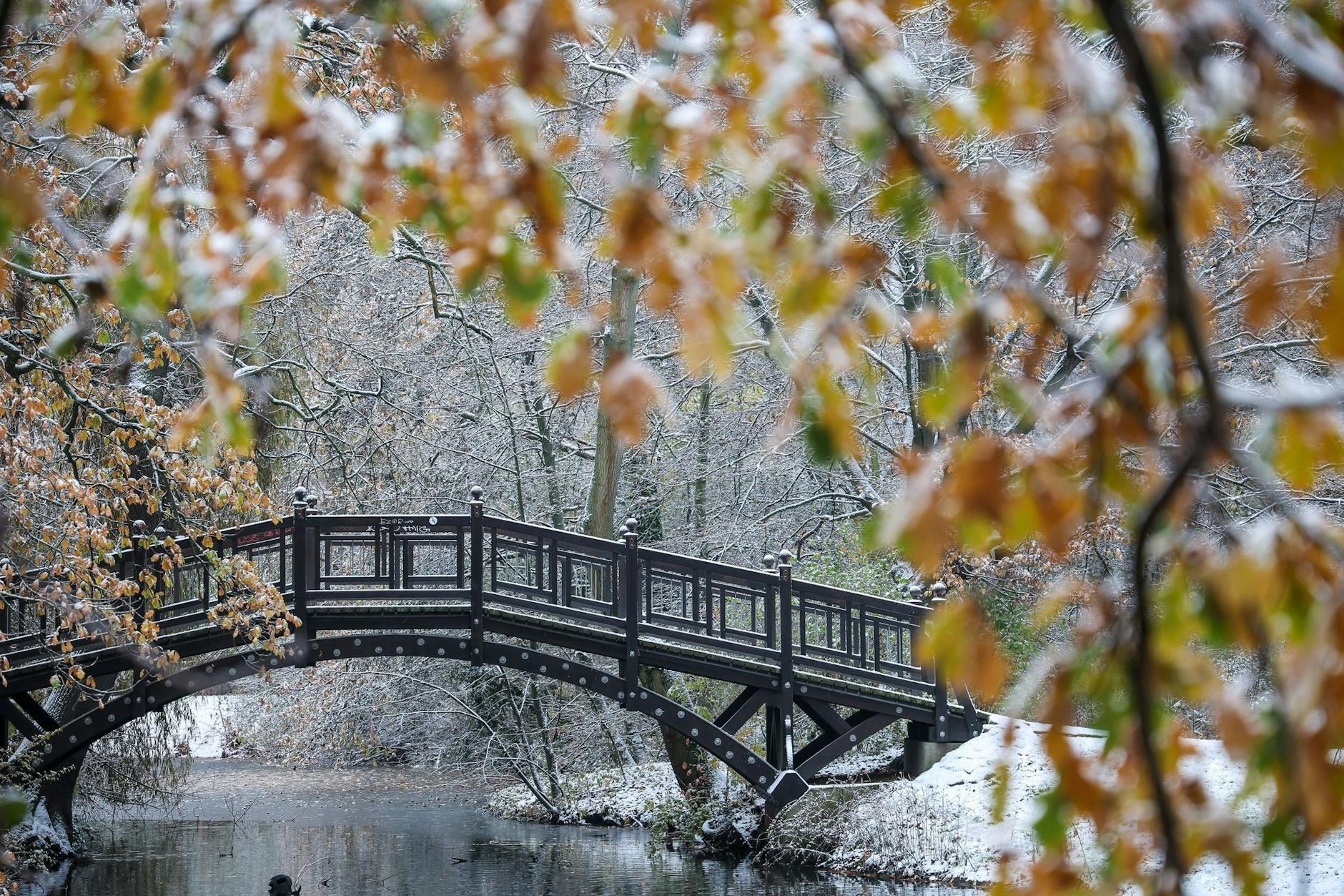 Bis der Schnee so schön liegen bleibt, braucht es normalweise ein paar Versuche. Doch dieses Jahr werden weite Teile Deutschlands - wie hier in Leipzig - schon direkt mit dem Wintereinbruch mit schönen Schneelandschaften überrascht.