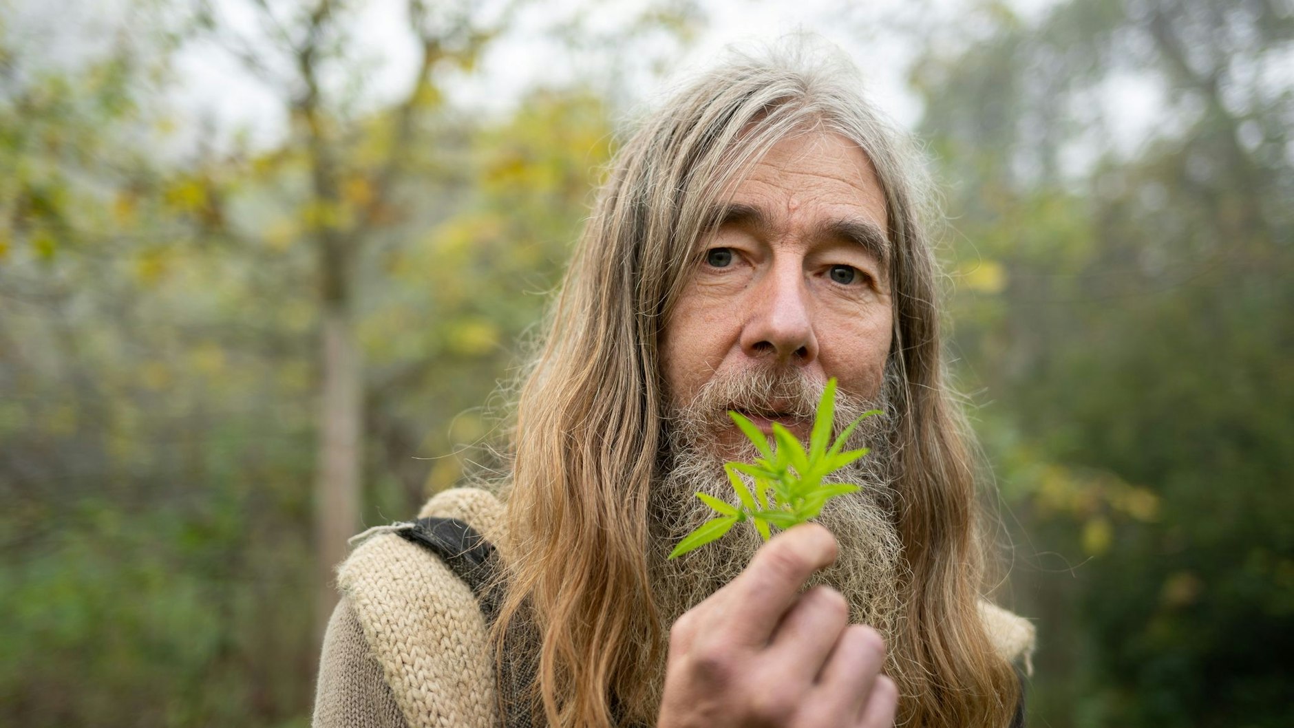 Friedmunt Sonnemann zeigt in seinem Garten eine Huacatay (Gewürztagetes) aus den Anden in Südamerika.
