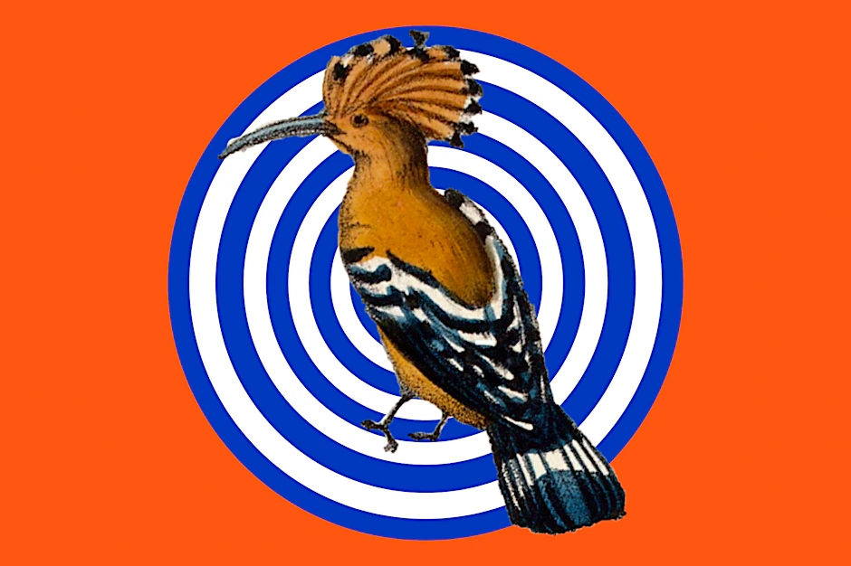 Ein Vogel als Zielscheibe – ein bisschen wie das Theaterstück „Vögel“ am Münchner Metropoltheater.