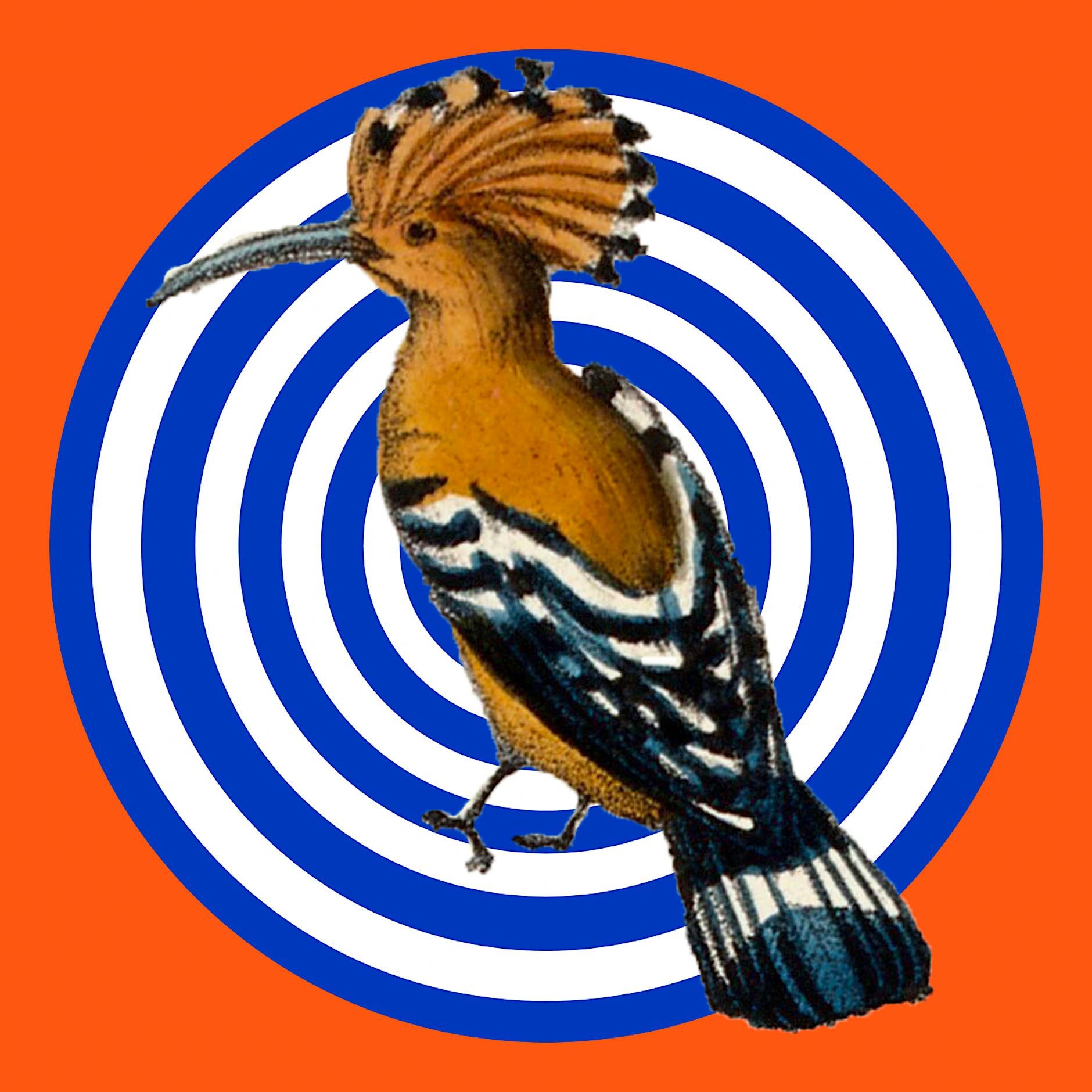 Warum die Angriffe auf das „Vögel“-Stück ein falsches Bild von Kunst zeichnen