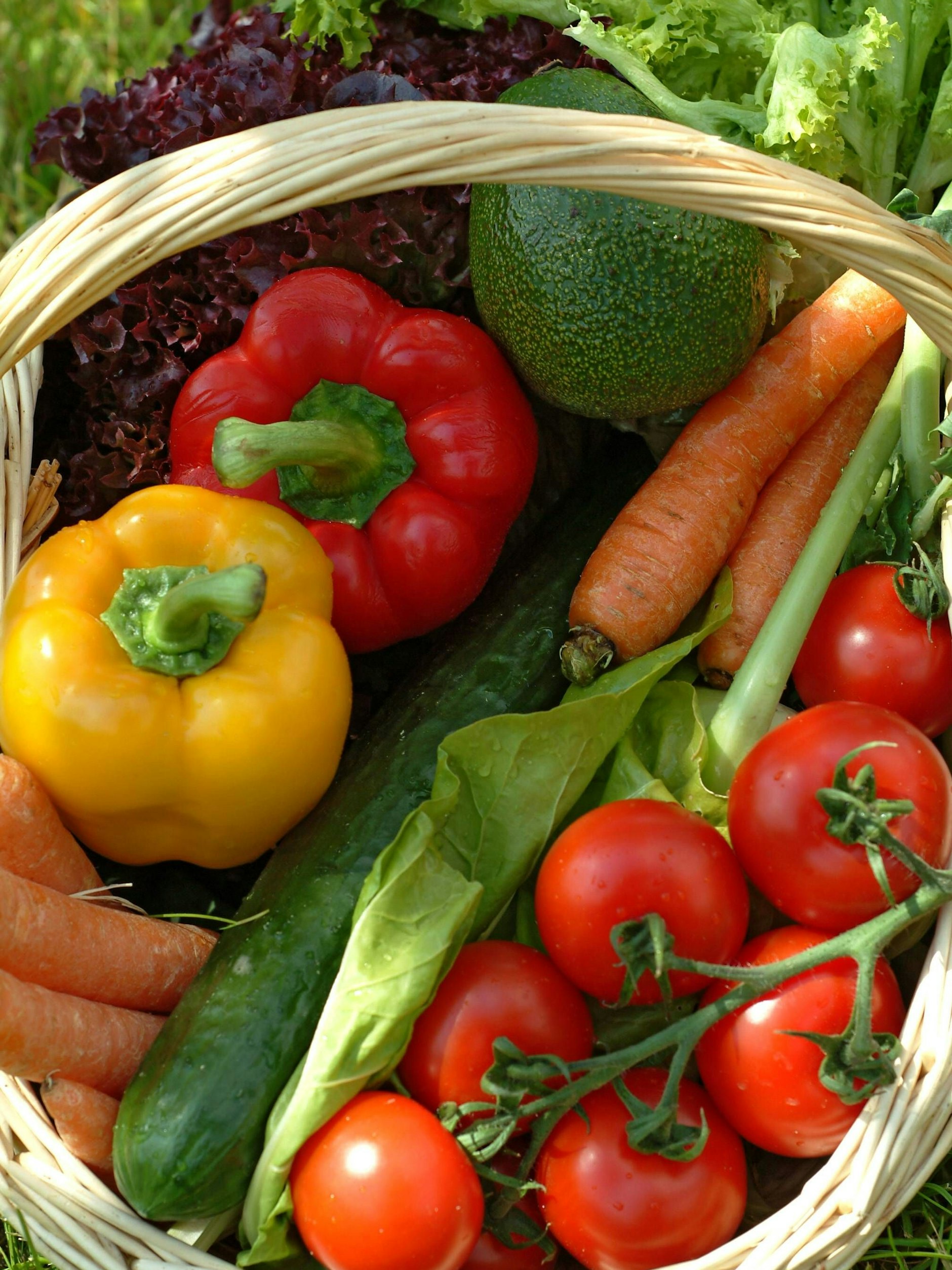 Paprika, Möhren und Tomaten sollten nicht im Kühlschrank gelagert werden.