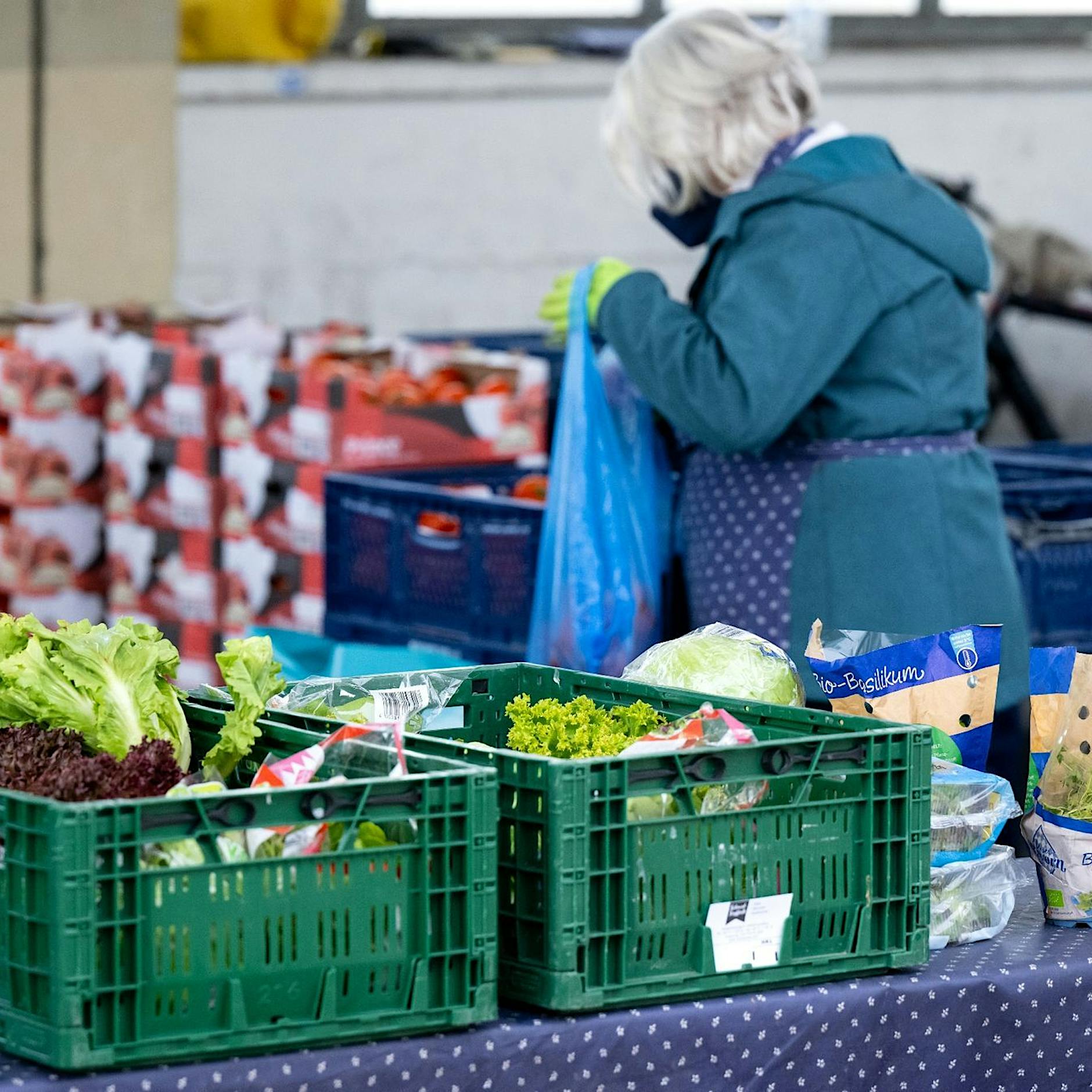 Experten: Die Armut hat in Deutschland deutlich zugenommen