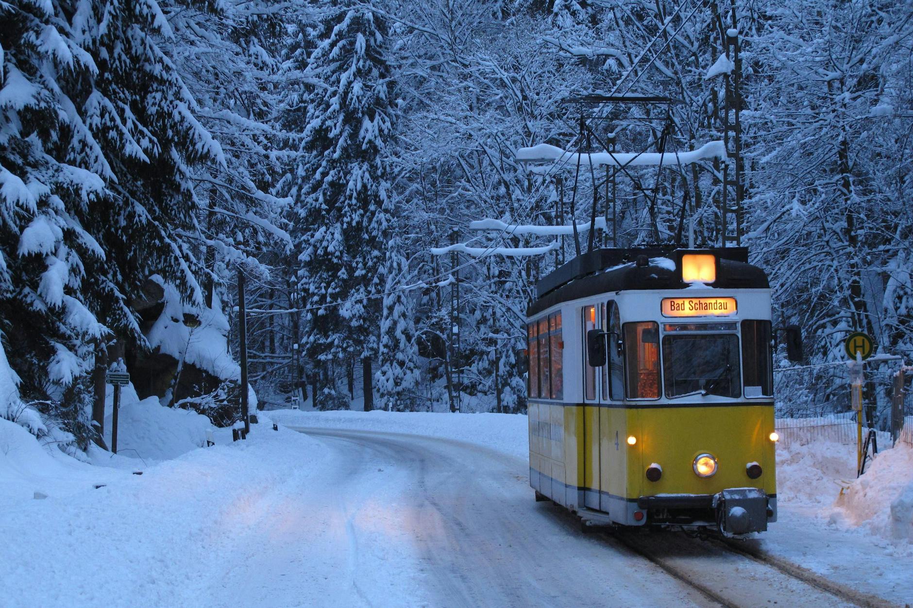 Die Kirnitzschtalbahn im Kirnitzschtal bei Bad Schandau im Nationalpark Sächsische Schweiz