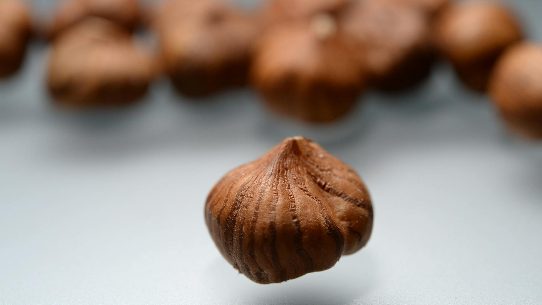 Haselnüsse sind kleine Superfoods, in dem genialen Rezept für Haselnuss-Plätzchen ersetzen sie das Mehl.