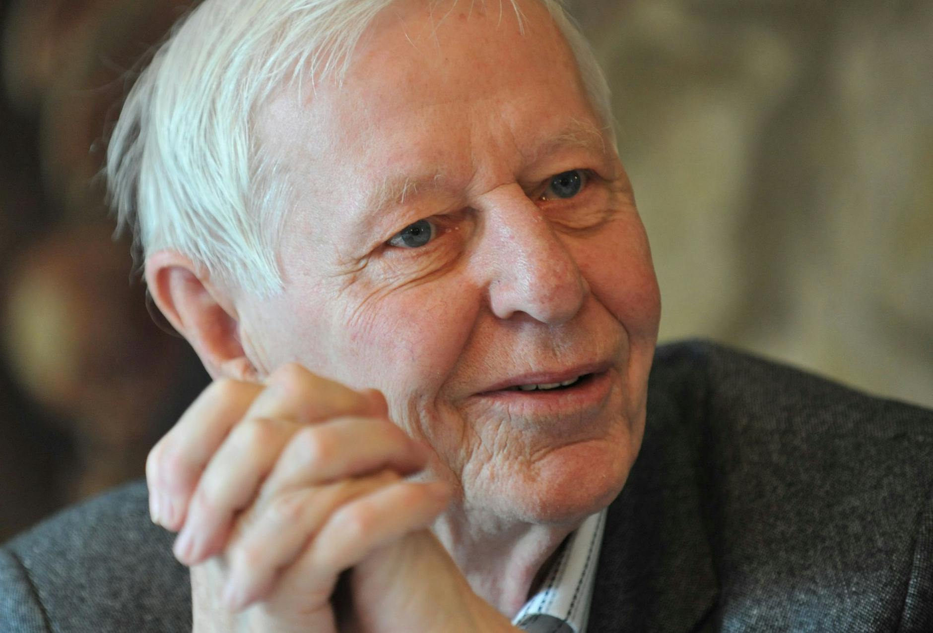 ARCHIV - Schriftsteller Hans Magnus Enzensberger gestorben. ild