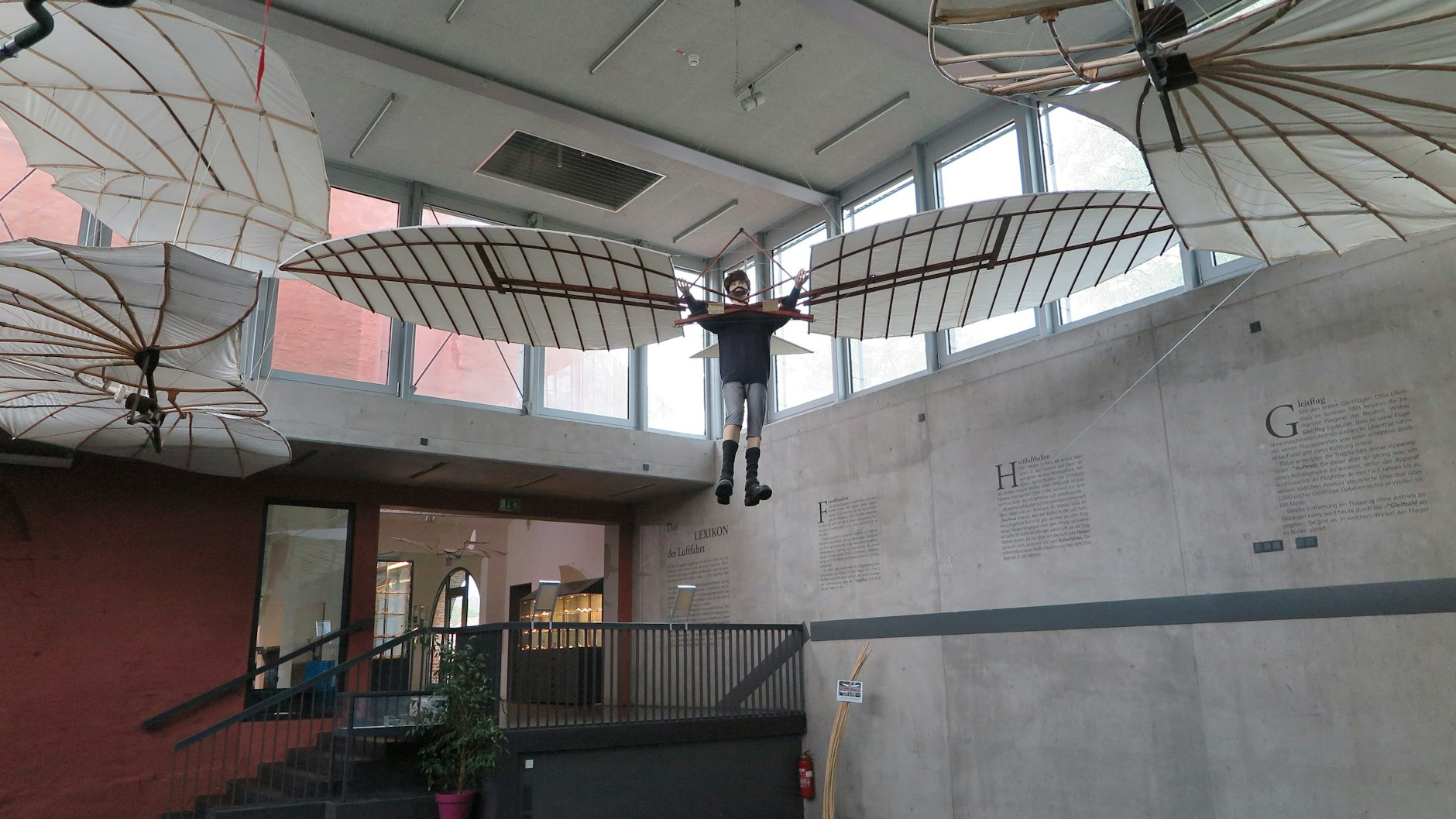 Mit solchen Flugmodellen experimentierte Otto Lilienthal - zu sehen sind sie im Lilienthal-Centrum in Stölln. 