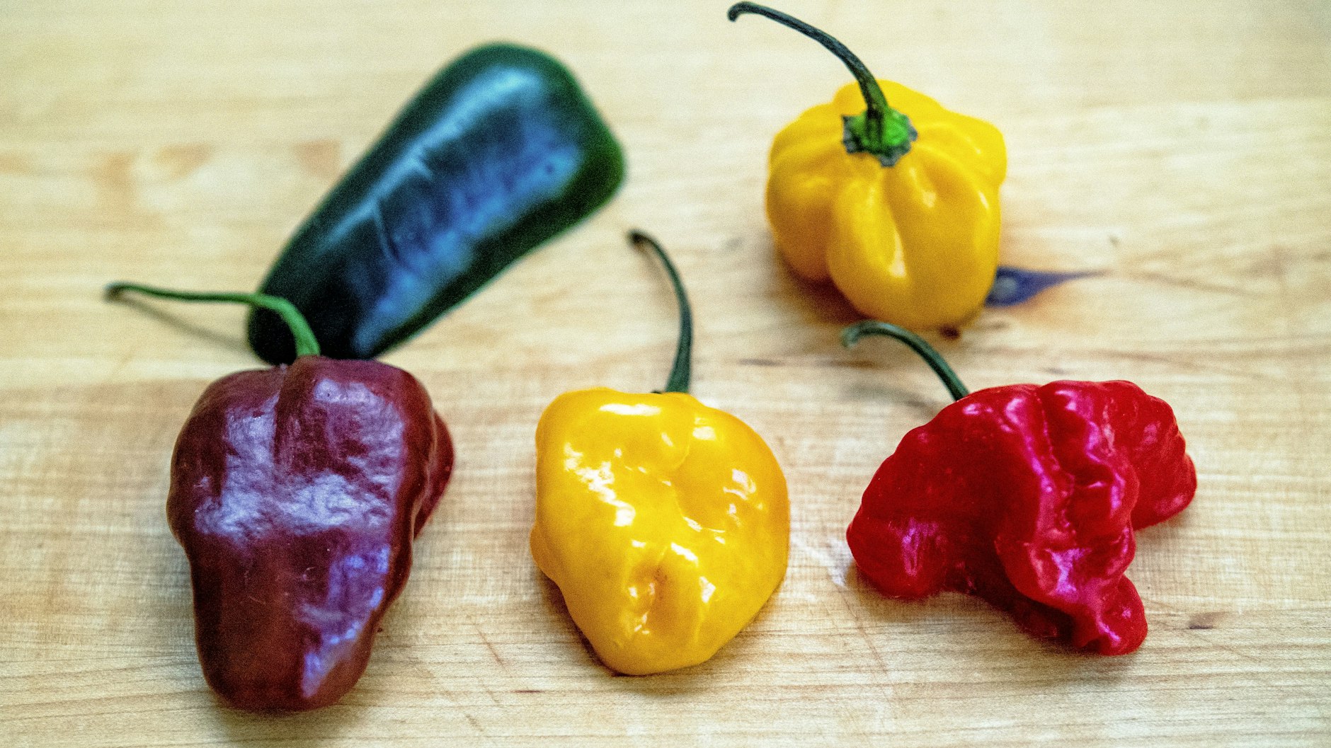 Welche ist am schärfsten? Einige Chilis enthalten deutlich mehr Capsaicin als andere.