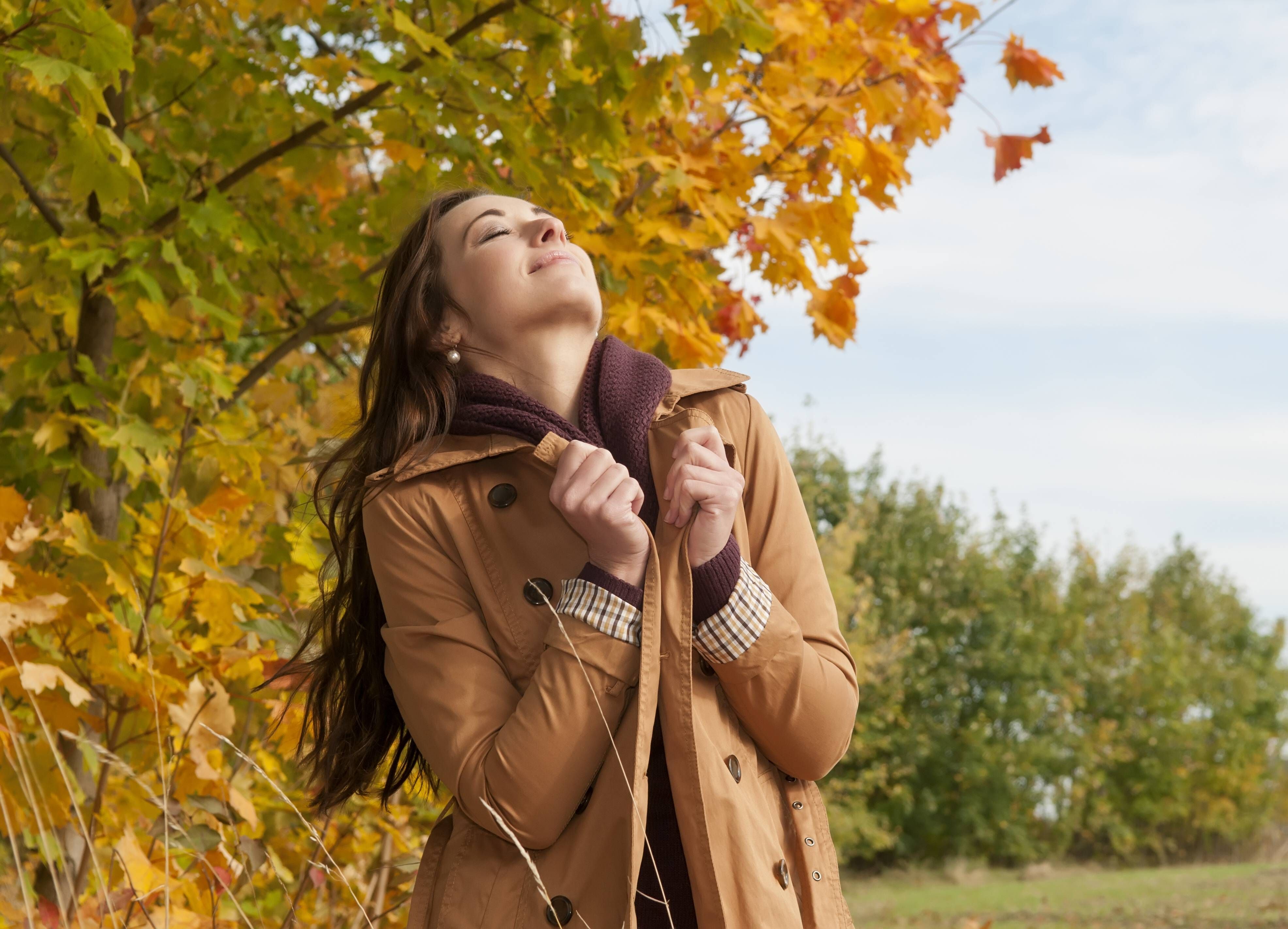 Horoskop für heute: Dienstag, der 6. Dezember 2022! Das bringt Ihr Tag – laut Ihrem Sternzeichen