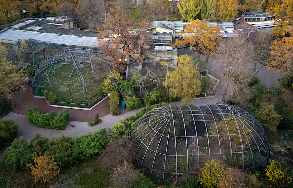 Keine Besucher sind im Berliner Zoo unterwegs. Der Zoo ist wegen eines Falls von Vogelgrippe geschlossen.