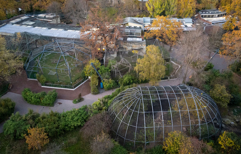 Geflügelpest: Berliner Zoo bangt um Vogelbestand – wie geht es weiter?