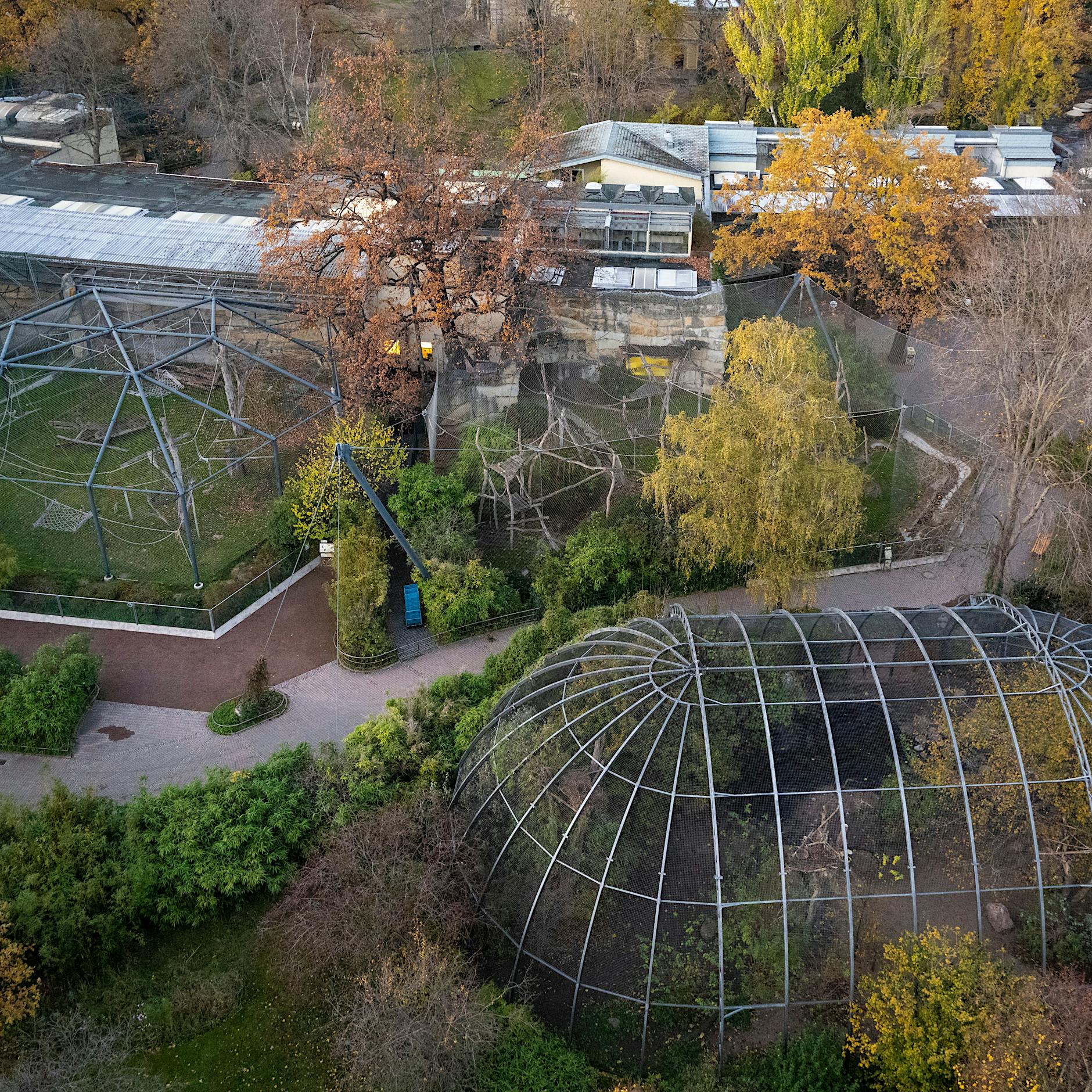 Geflügelpest: Berliner Zoo bangt um Vogelbestand – wie geht es weiter?