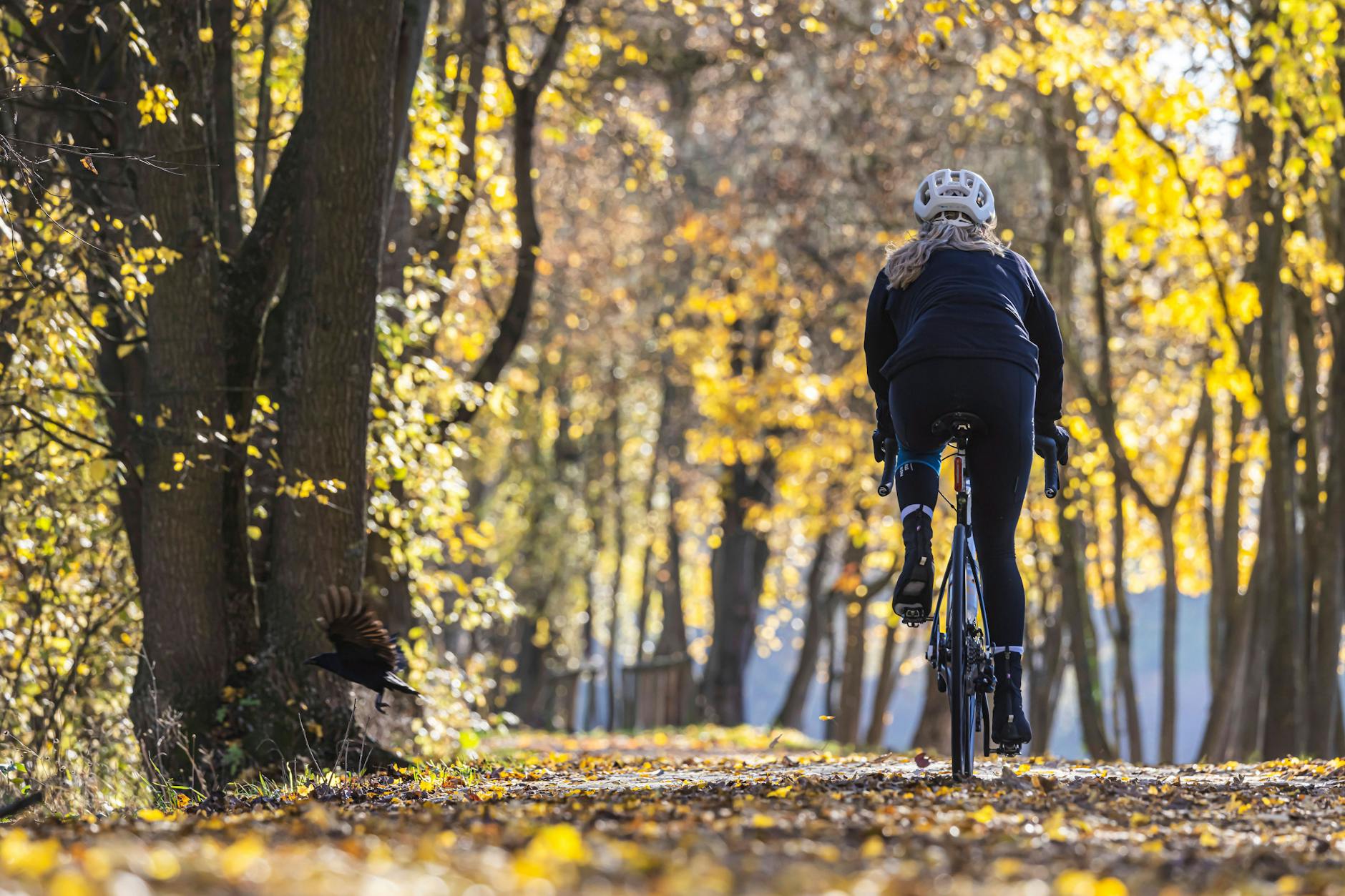 Der Herbst war zu warm und zu sommerlich.