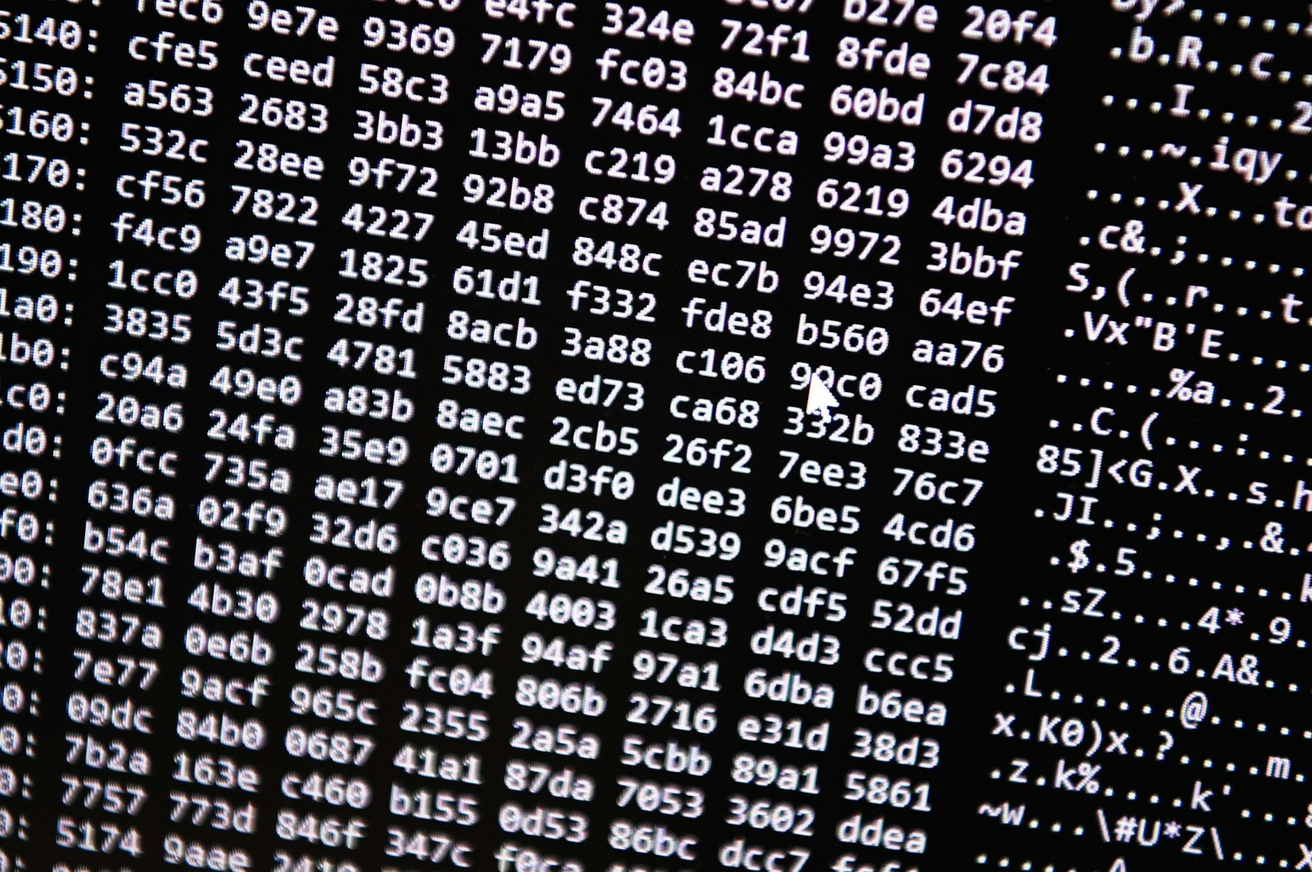 ARCHIV - Ein Zahlencode läuft in der Zentralstelle Cybercrime Bayern (ZCB) über einen Bildschirm.  