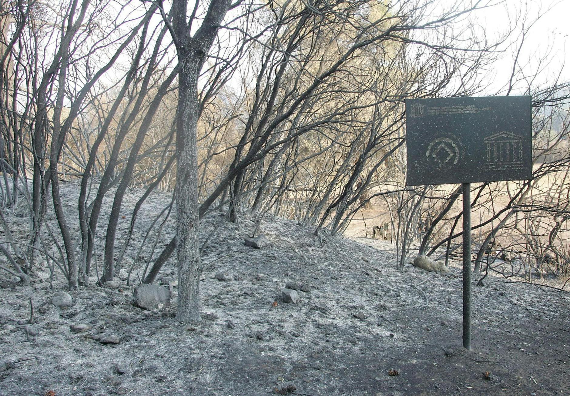ARCHIV - Brände haben Teile des antiken Olympia zerstört.