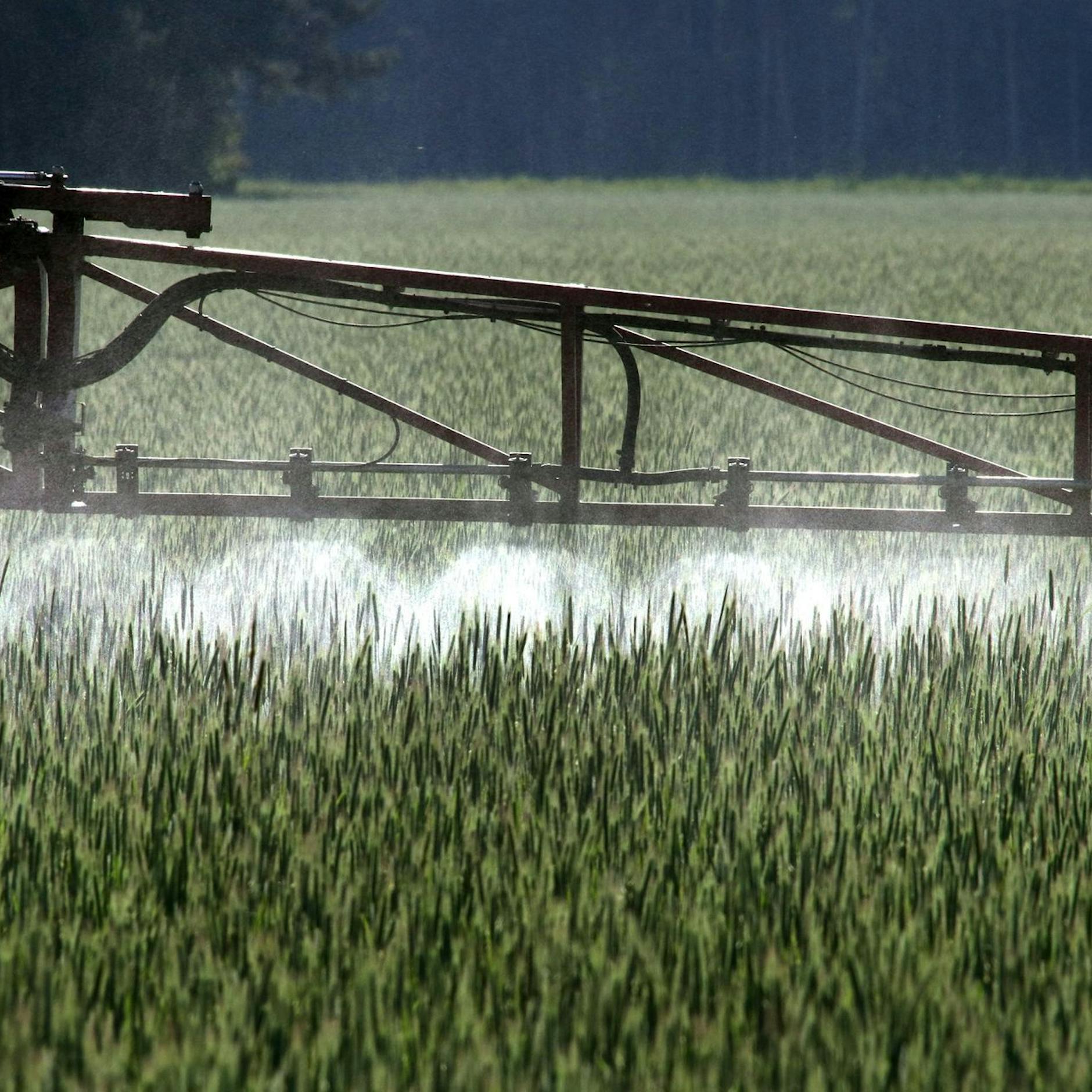 Image - Foodwatch: Pestizid-Zulassungen ohne Risikoprüfung erneuert