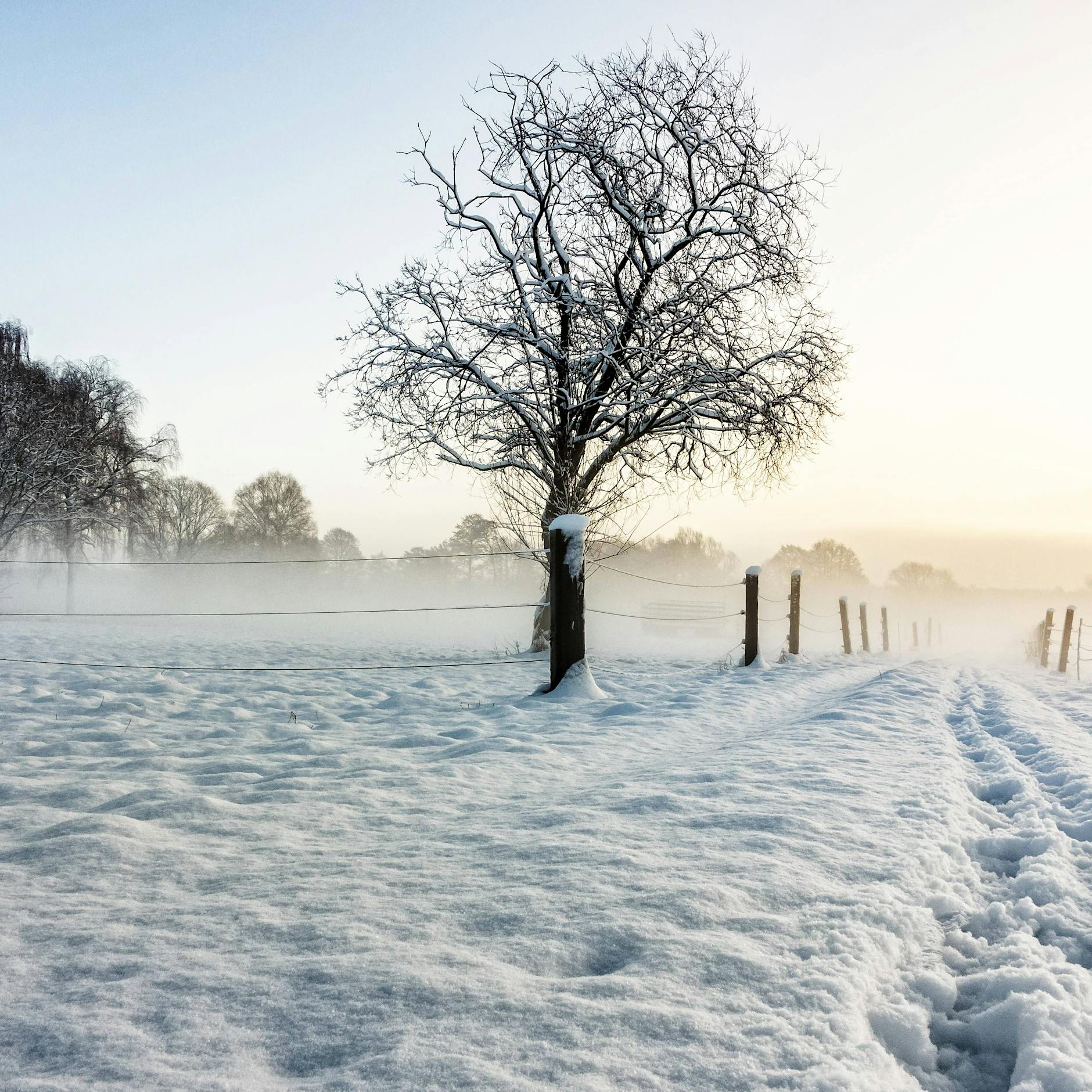 40 Zentimeter Neuschnee und unter minus 20 Grad: Wetter-Experte spricht von Extrem-Winter!