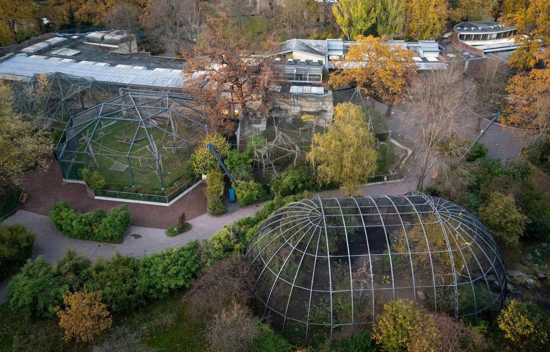 ARCHIV - Keine Besucher sind im Berliner Zoo unterwegs.